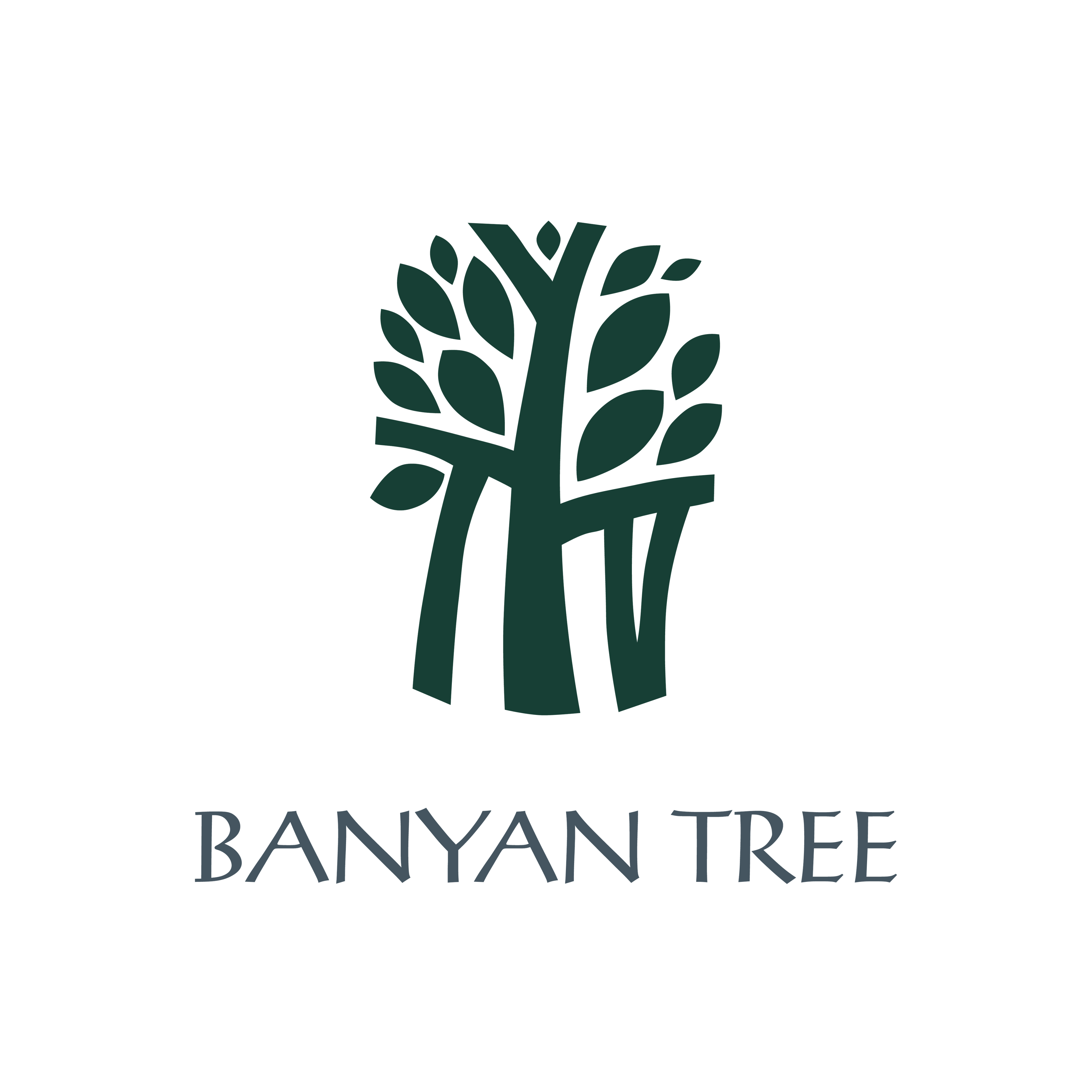 Banyan Tree Vabbinfaru