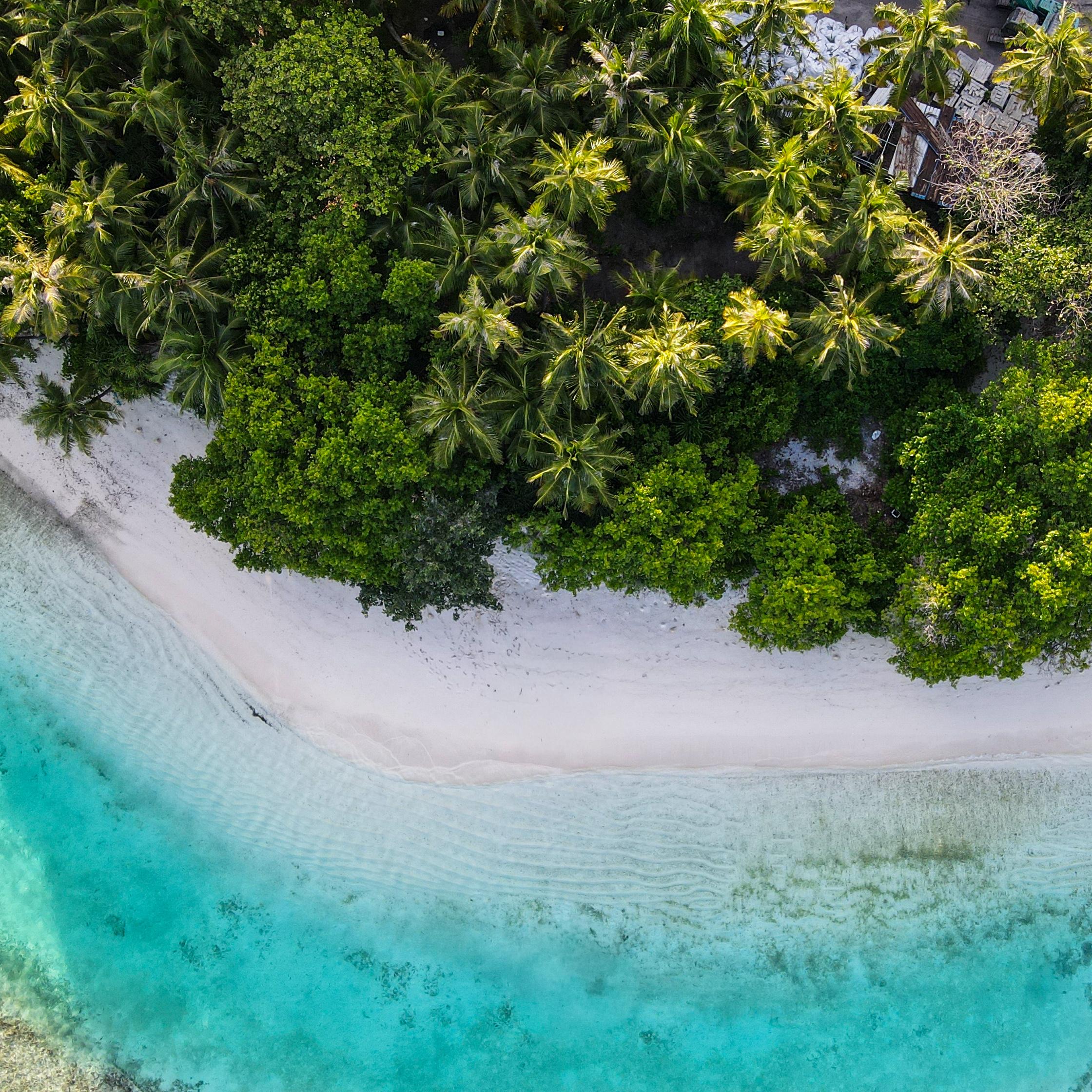 Avalon Private Residences Maldives