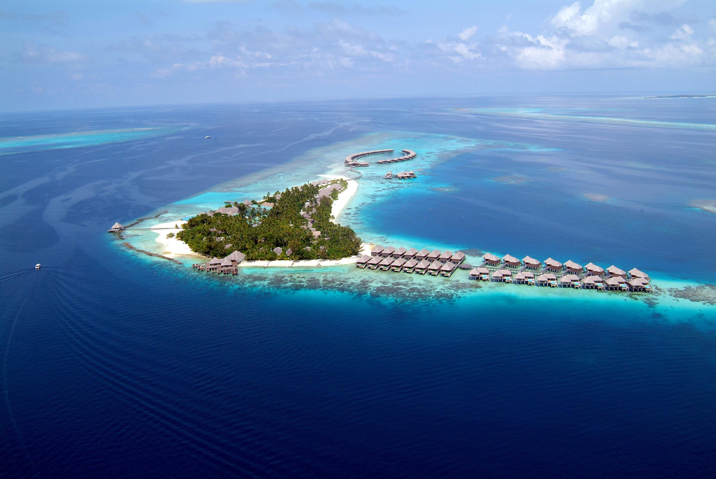 Coco Bodu Hithi Image 2.jpg