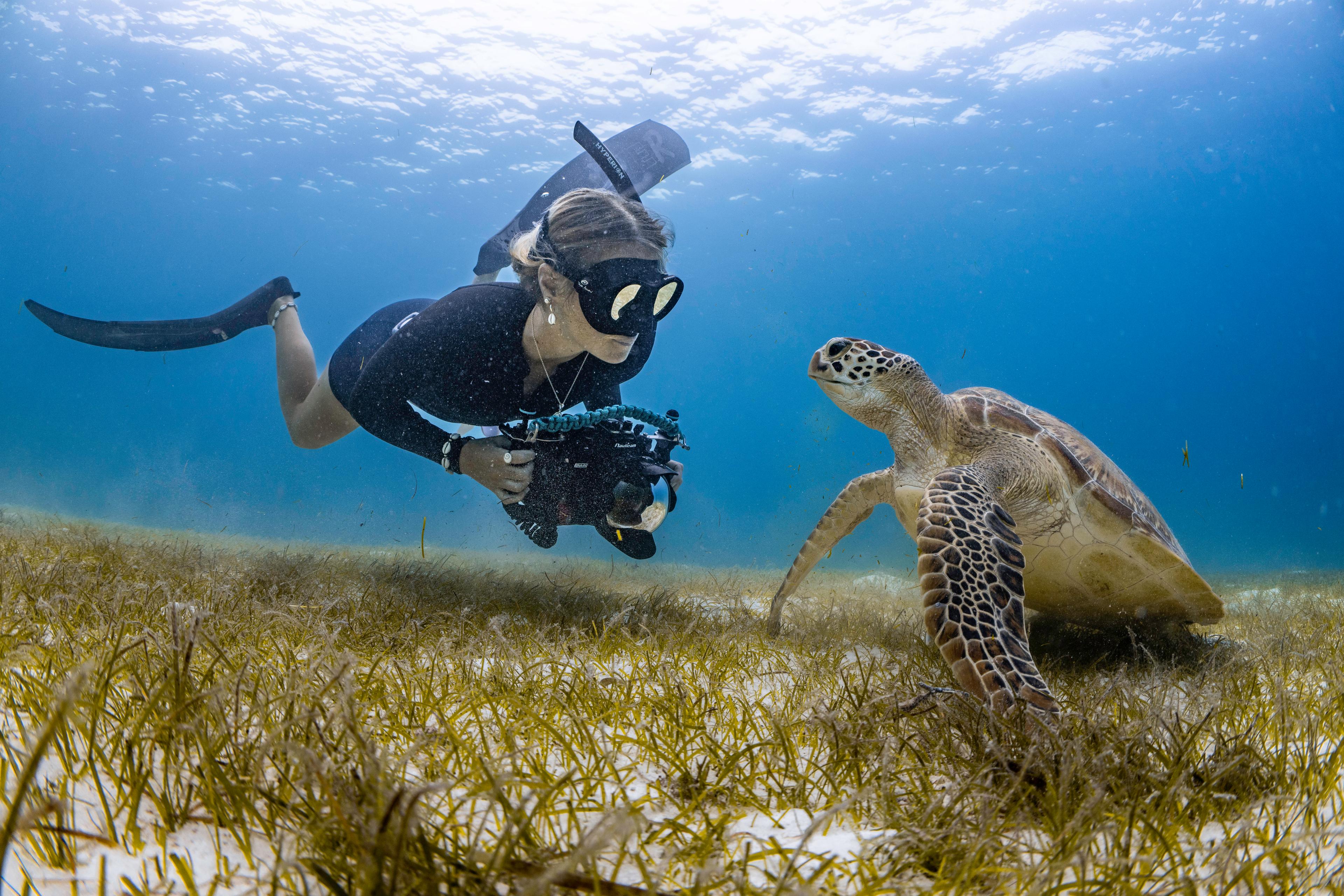 Le_Meridien_Maldives_Resort_&_Spa_Snorkeling_with_turtle.jpg