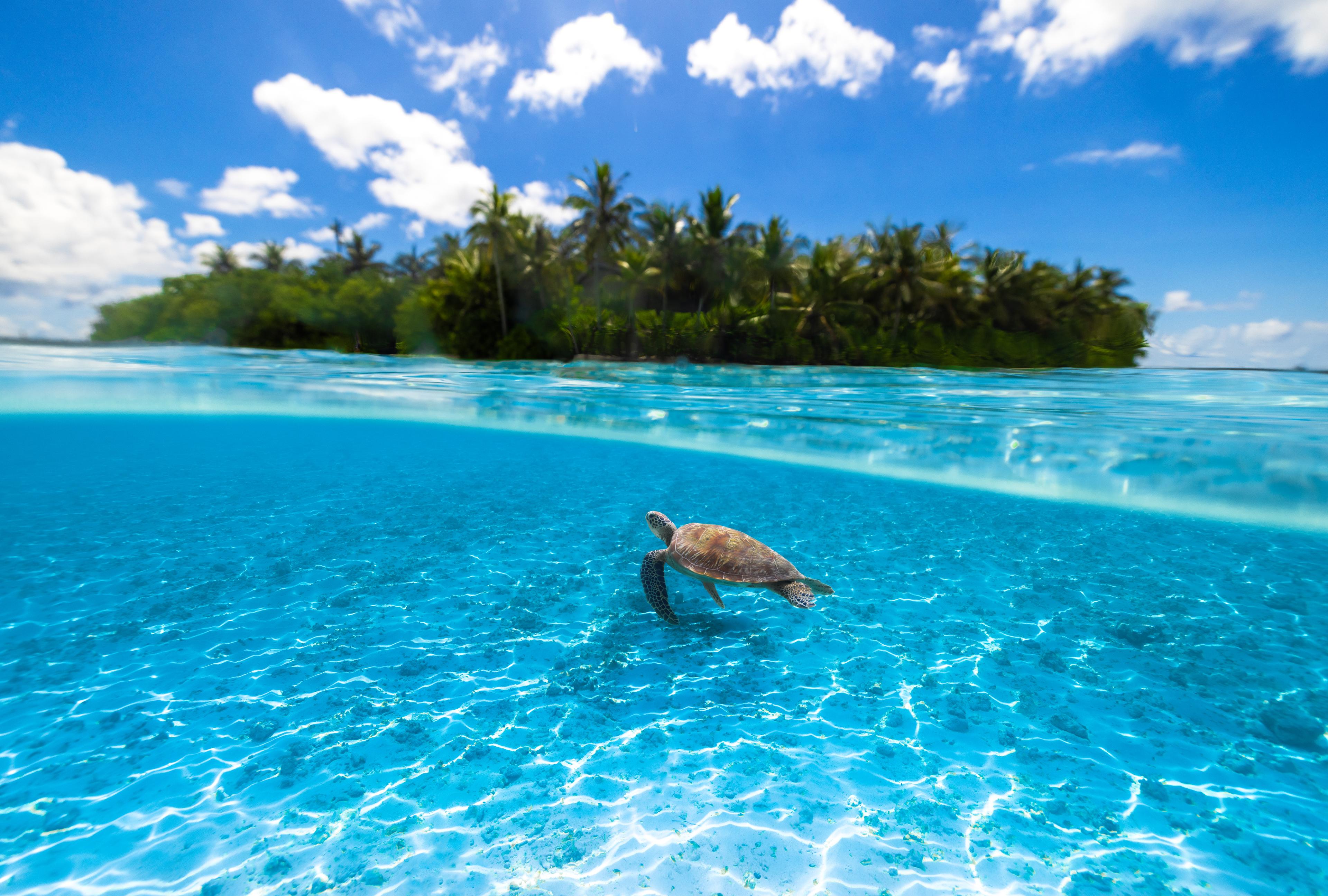 Kudadoo Maldives_Ocean_2.jpg
