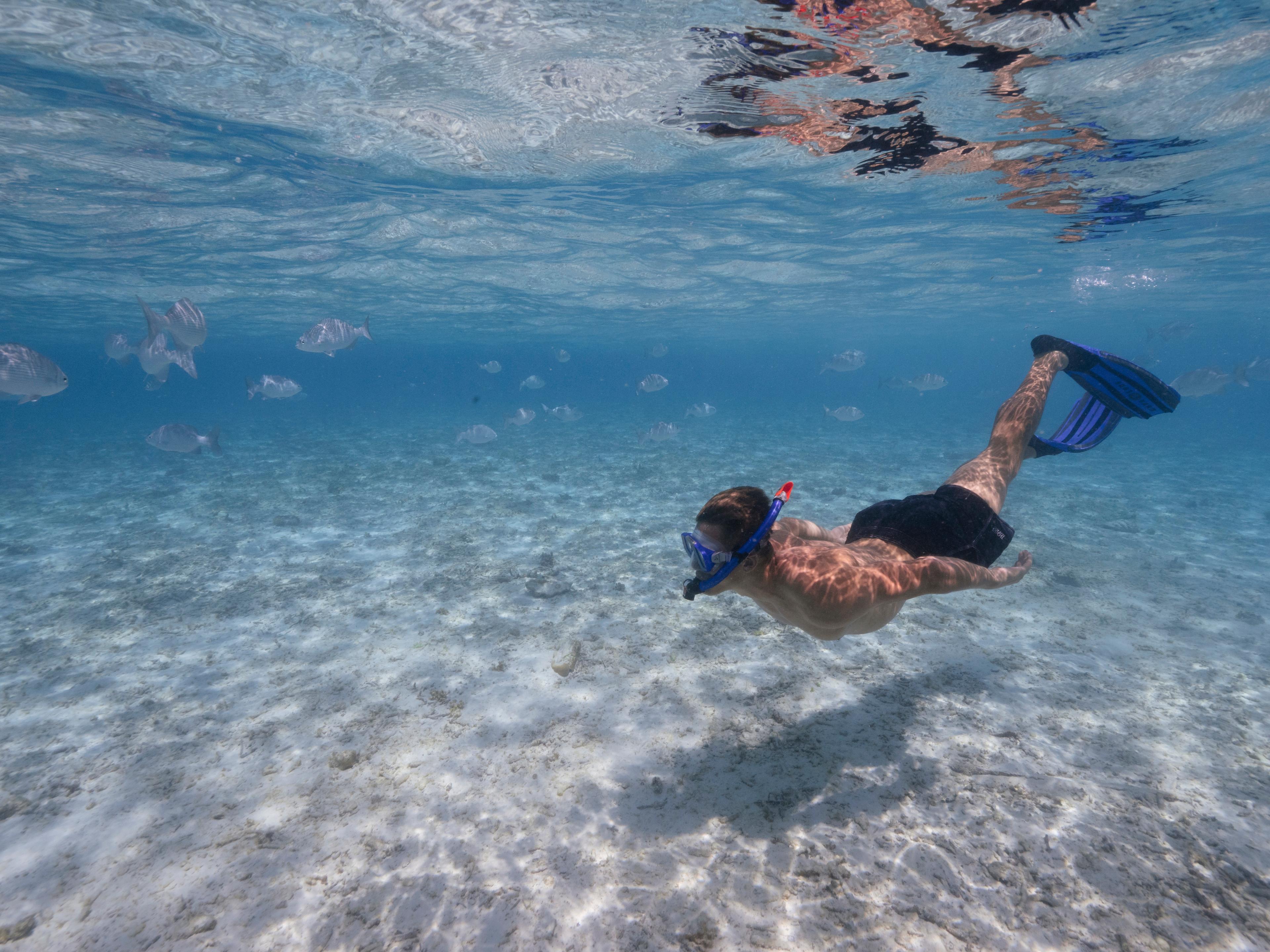 SIM Snorkeling - 4.jpg