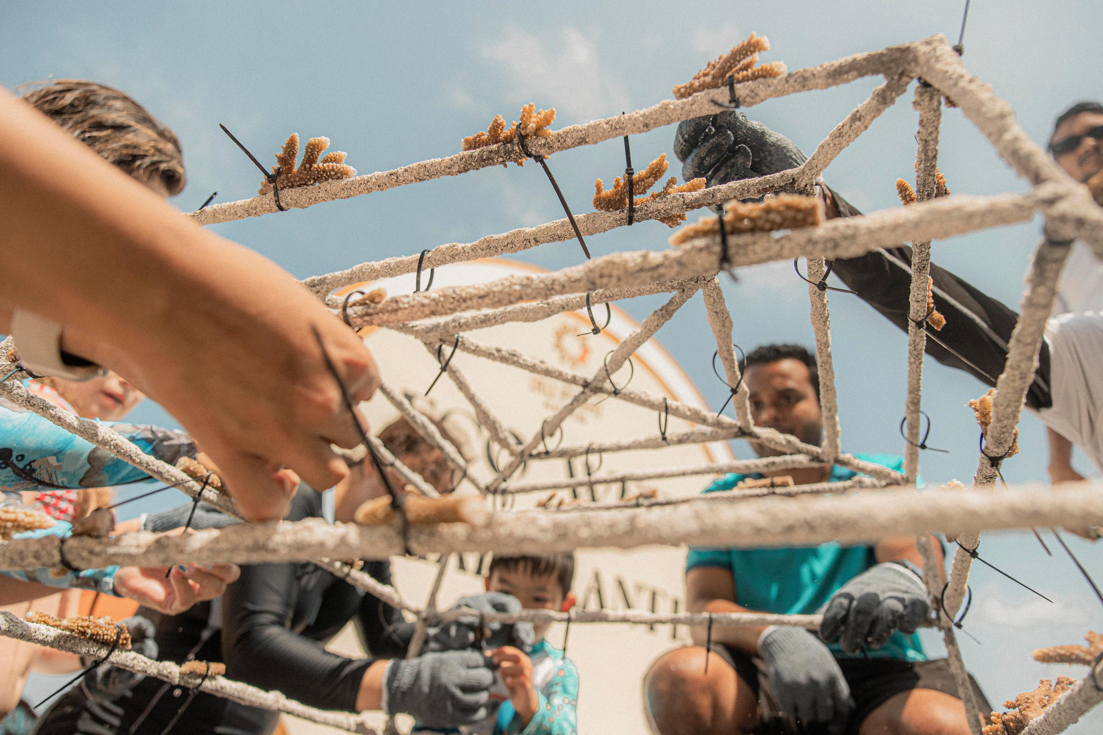 SSIF Coral Planting 080625-13.jpg