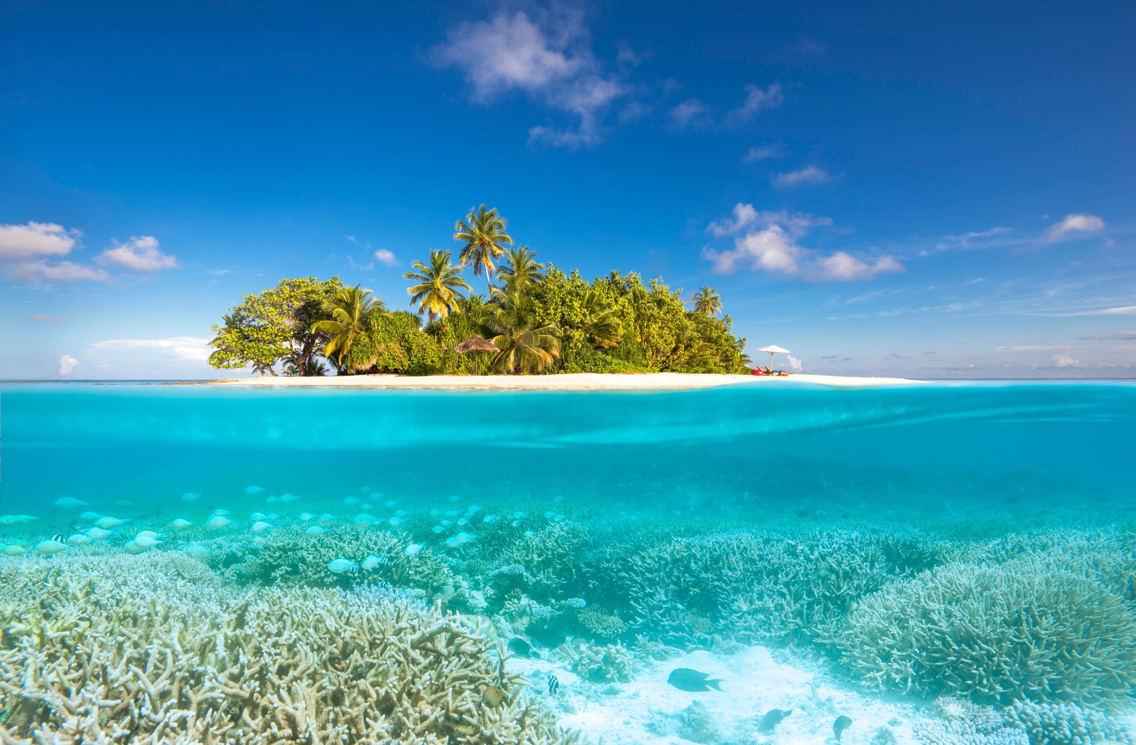 W_Maldives_Gaathafushi_Private_Island_Reef.jpg