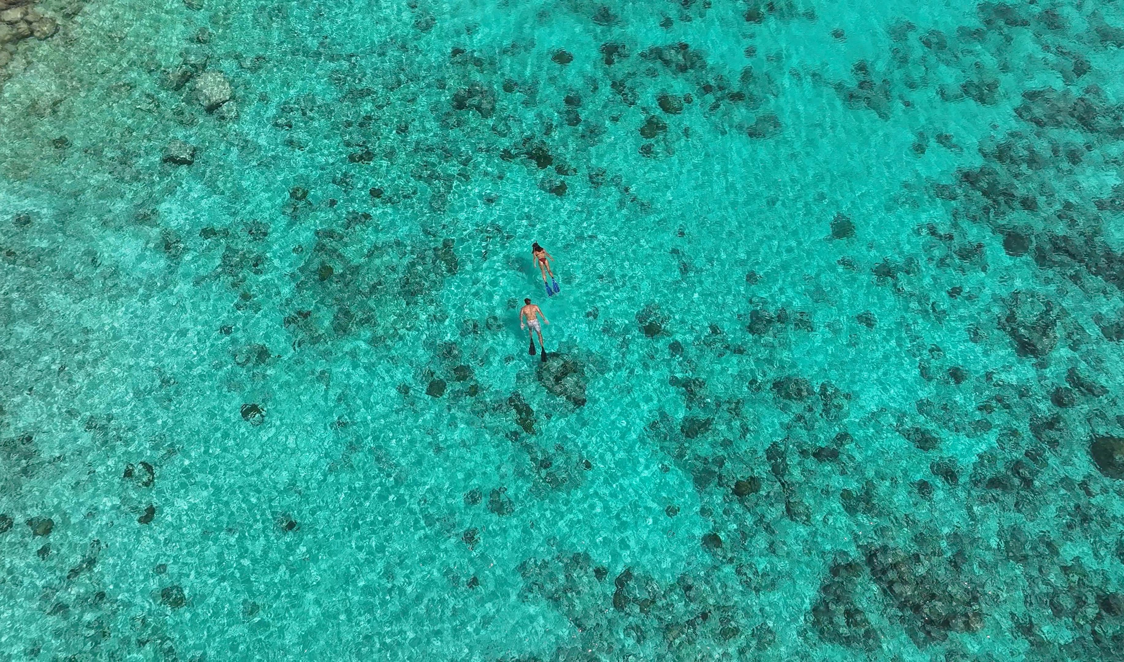 JW Marriott Maldives Resort & Spa_Snorkelling.jpg