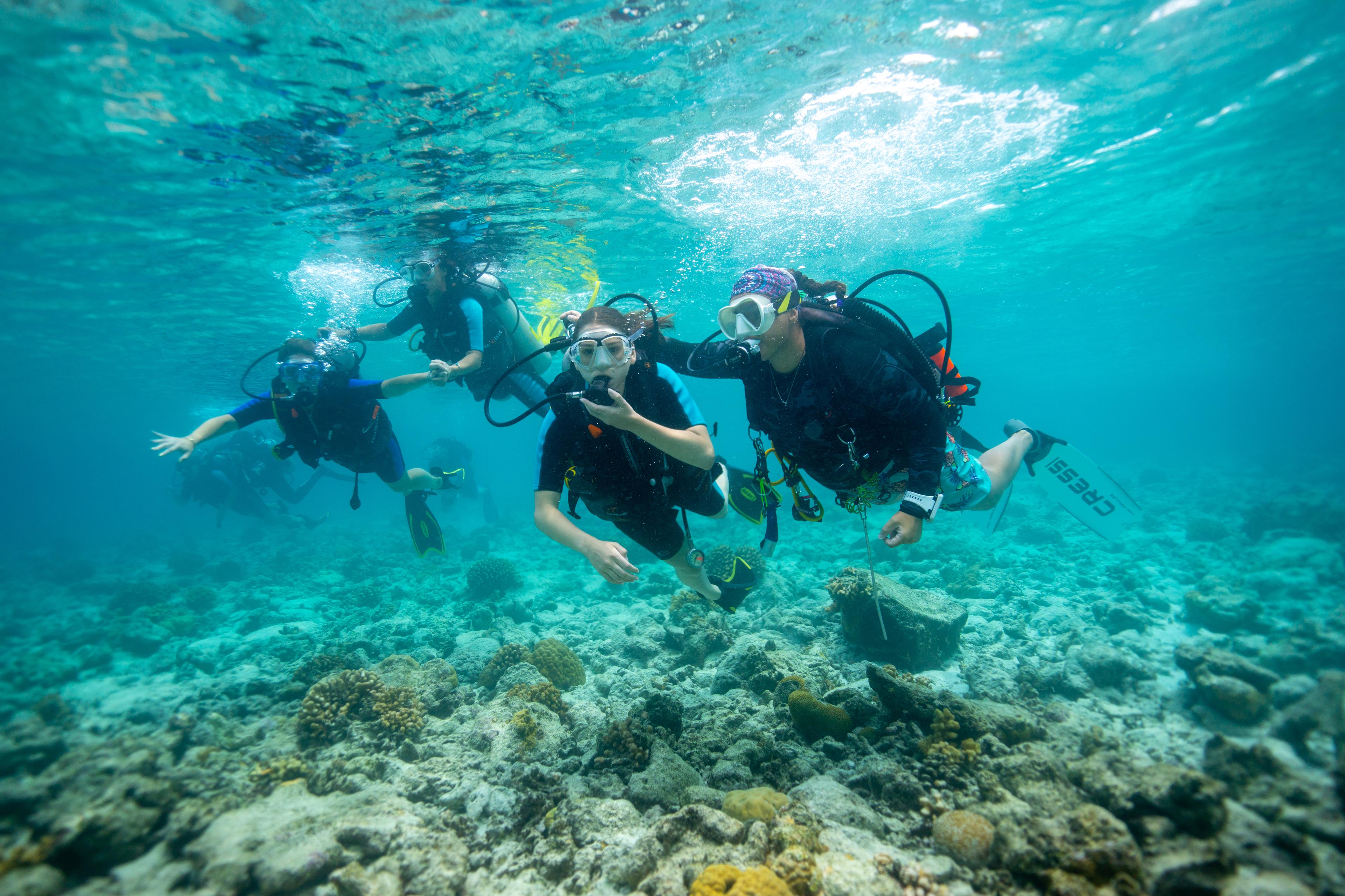 OBLU 2025 - Dive-1.jpg