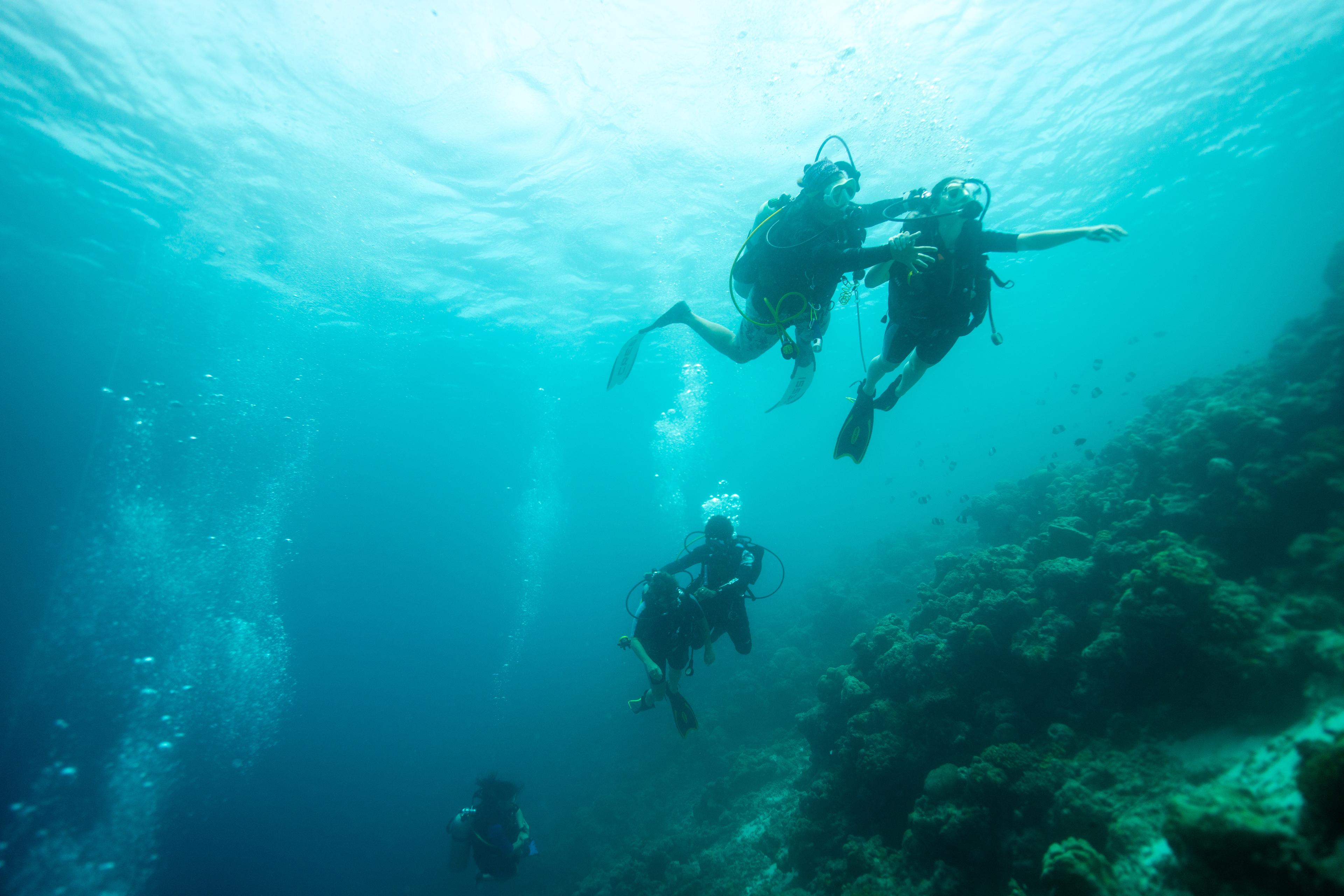 OBLU 2025 - Dive-10.jpg