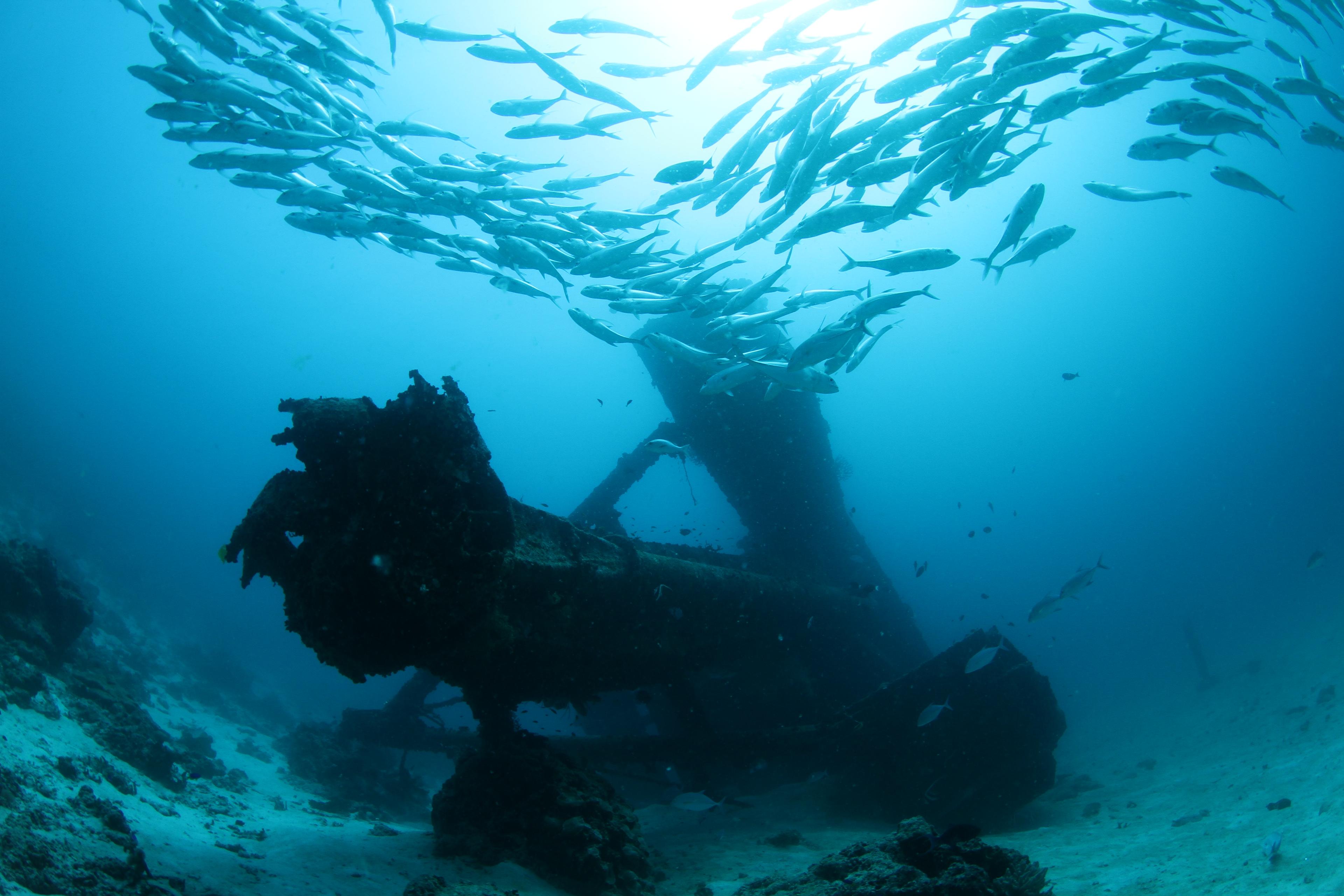 Rannamaari Wreck with School of Fish.jpg