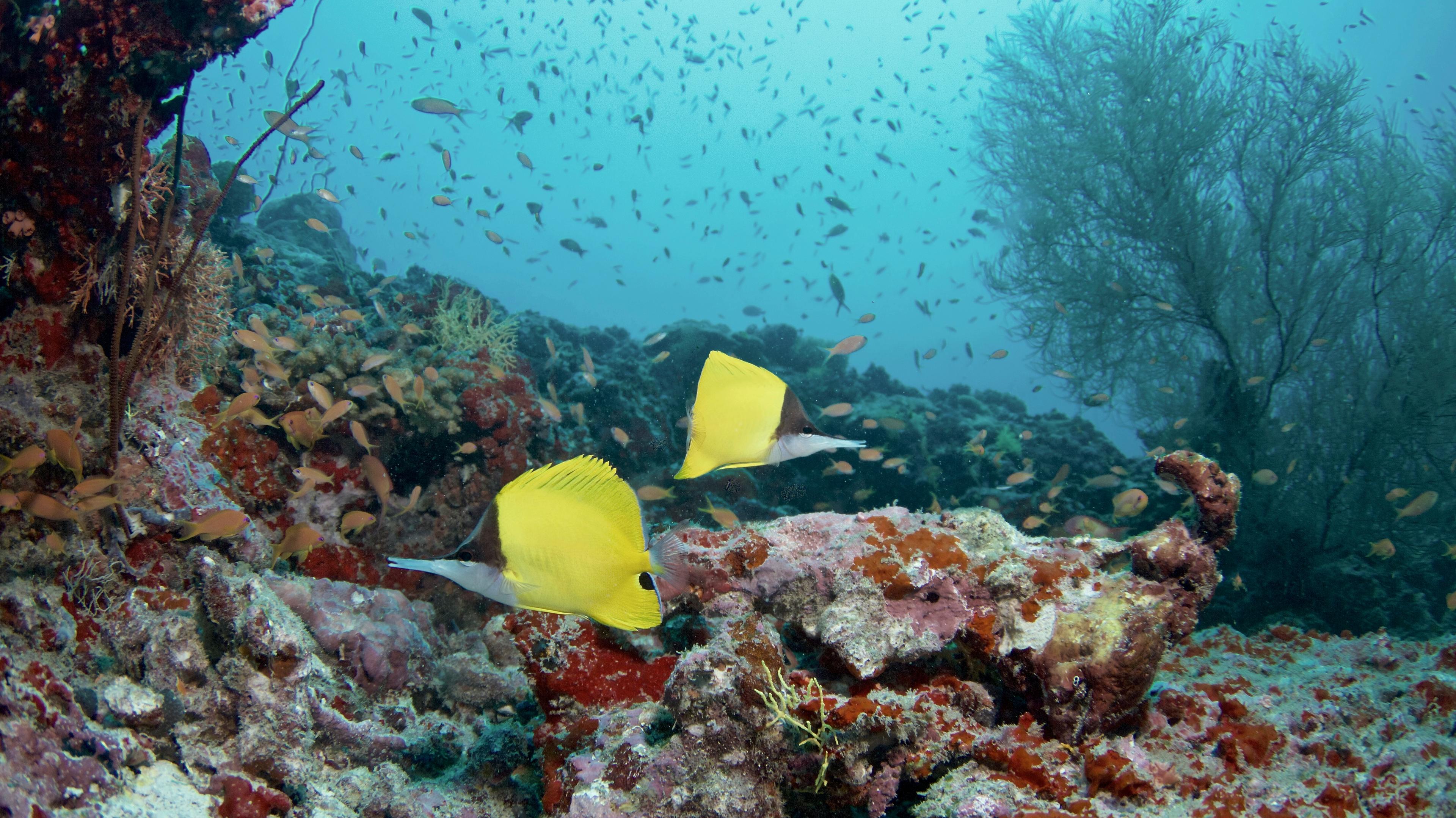 Underwater 1.jpg