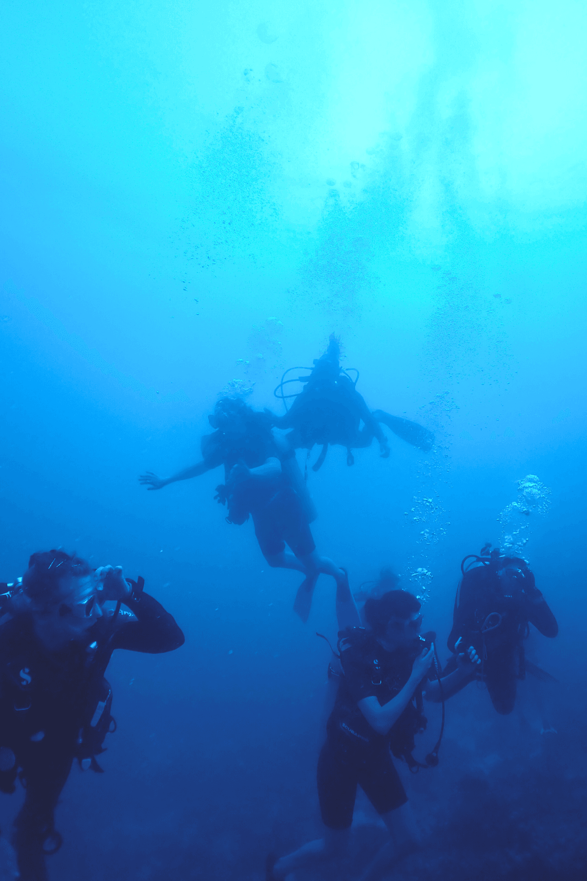 Womens Dive Day (2).png