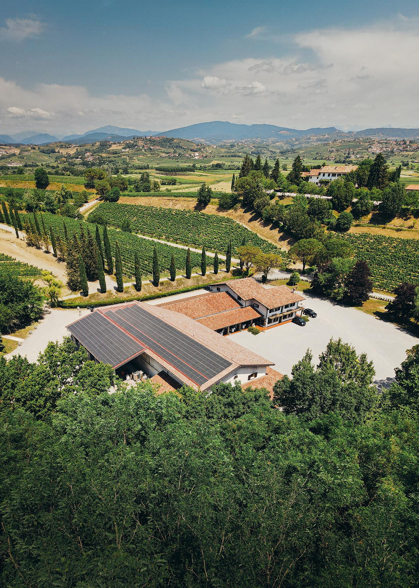 Marco Felluga Estate.jpg