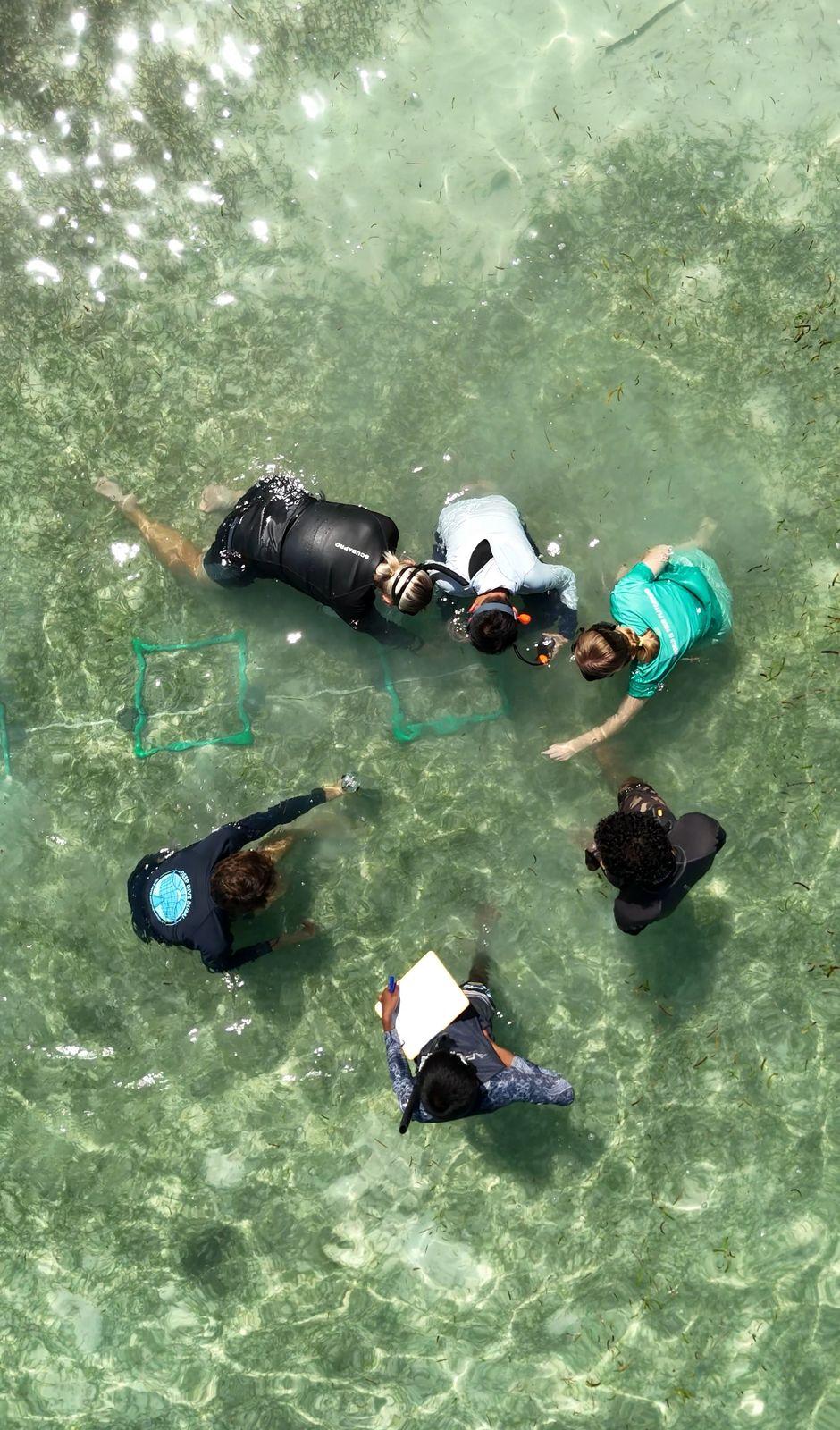 PMM_GreenGlobeRecertification2025_Seagrass-1.jpg