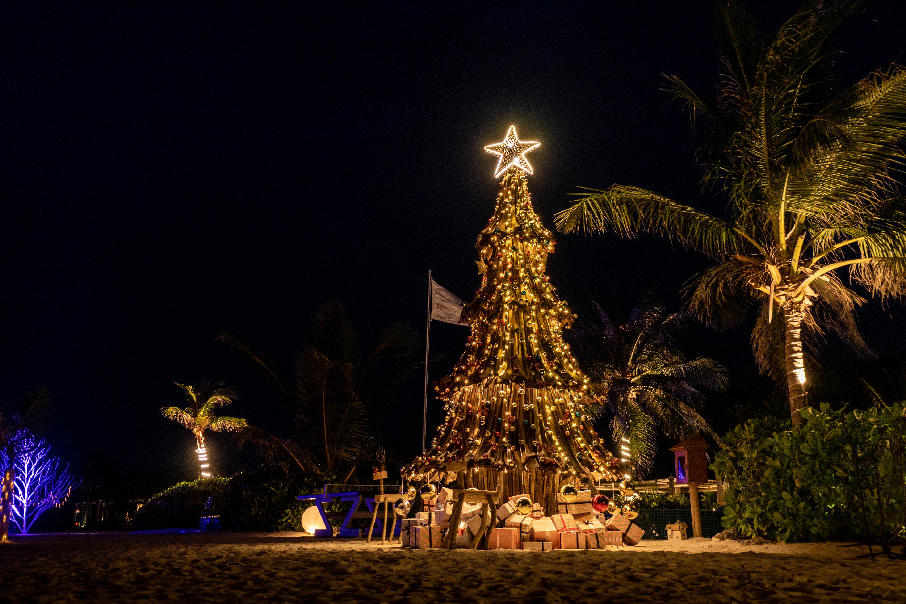 Christmas Tree Lighting (1).jpg