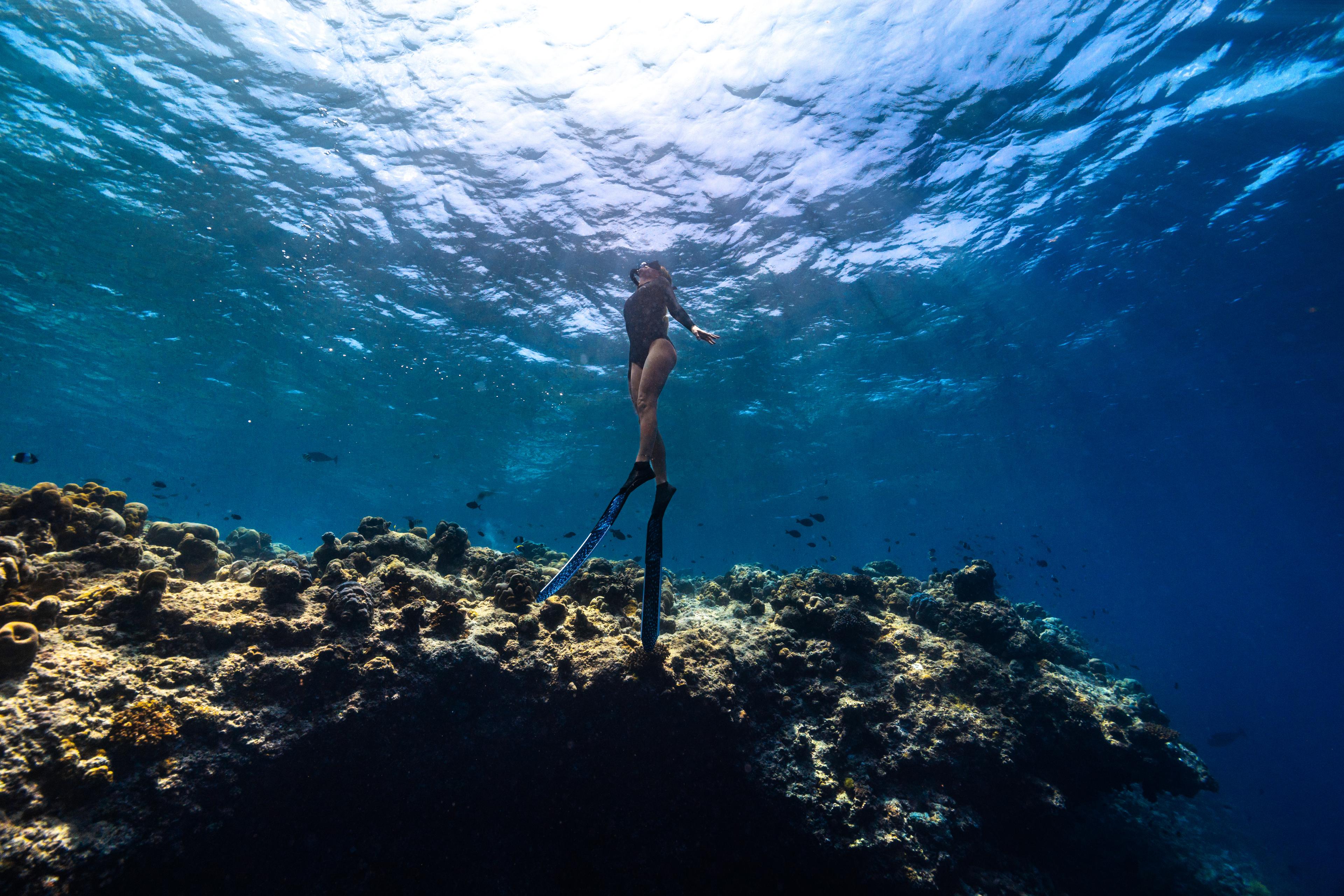 Housereef Snorkelling.JPG