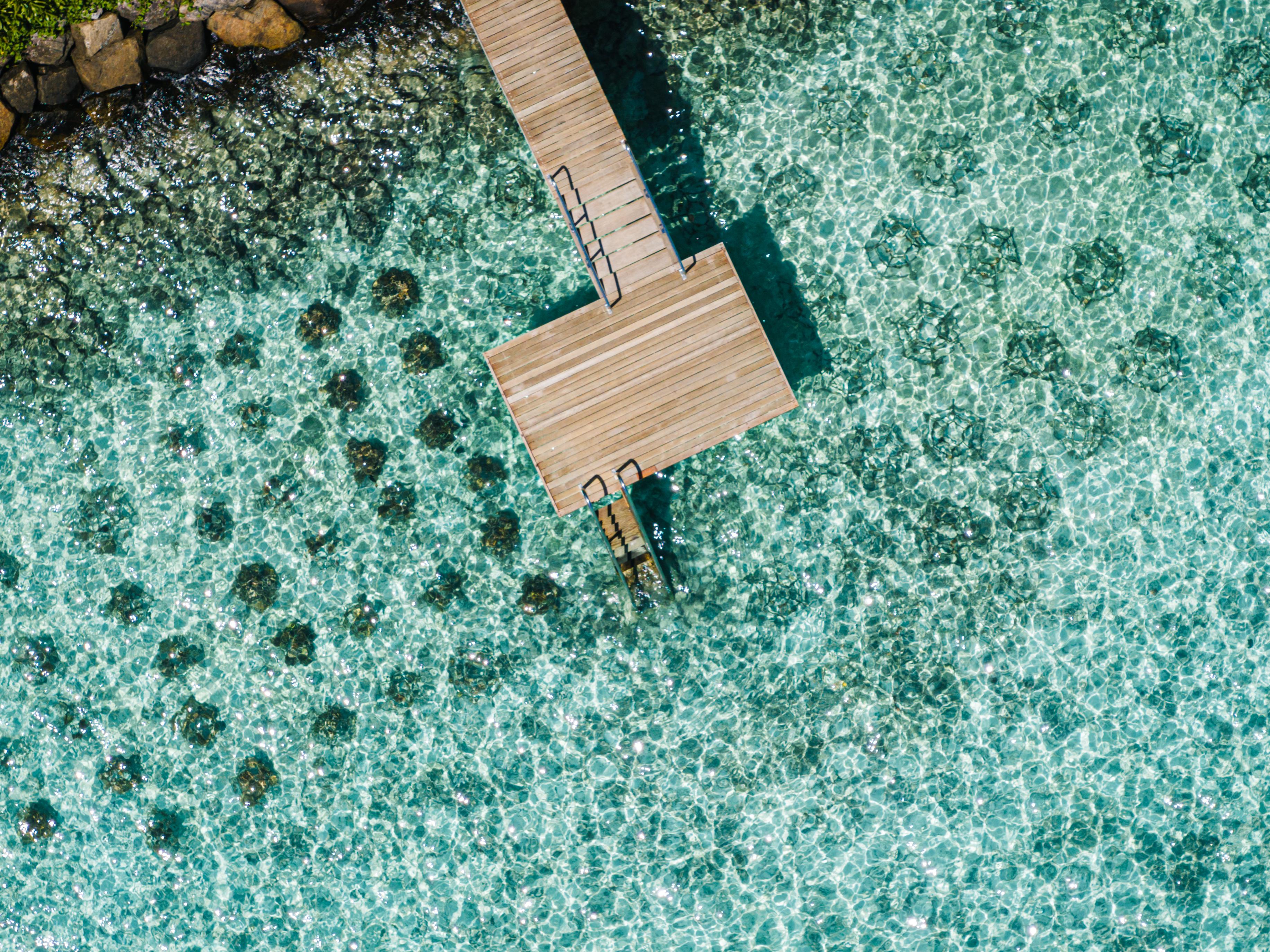 The Ritz-Carlton Maldives, Fari Islands - Naturalists (2).jpg