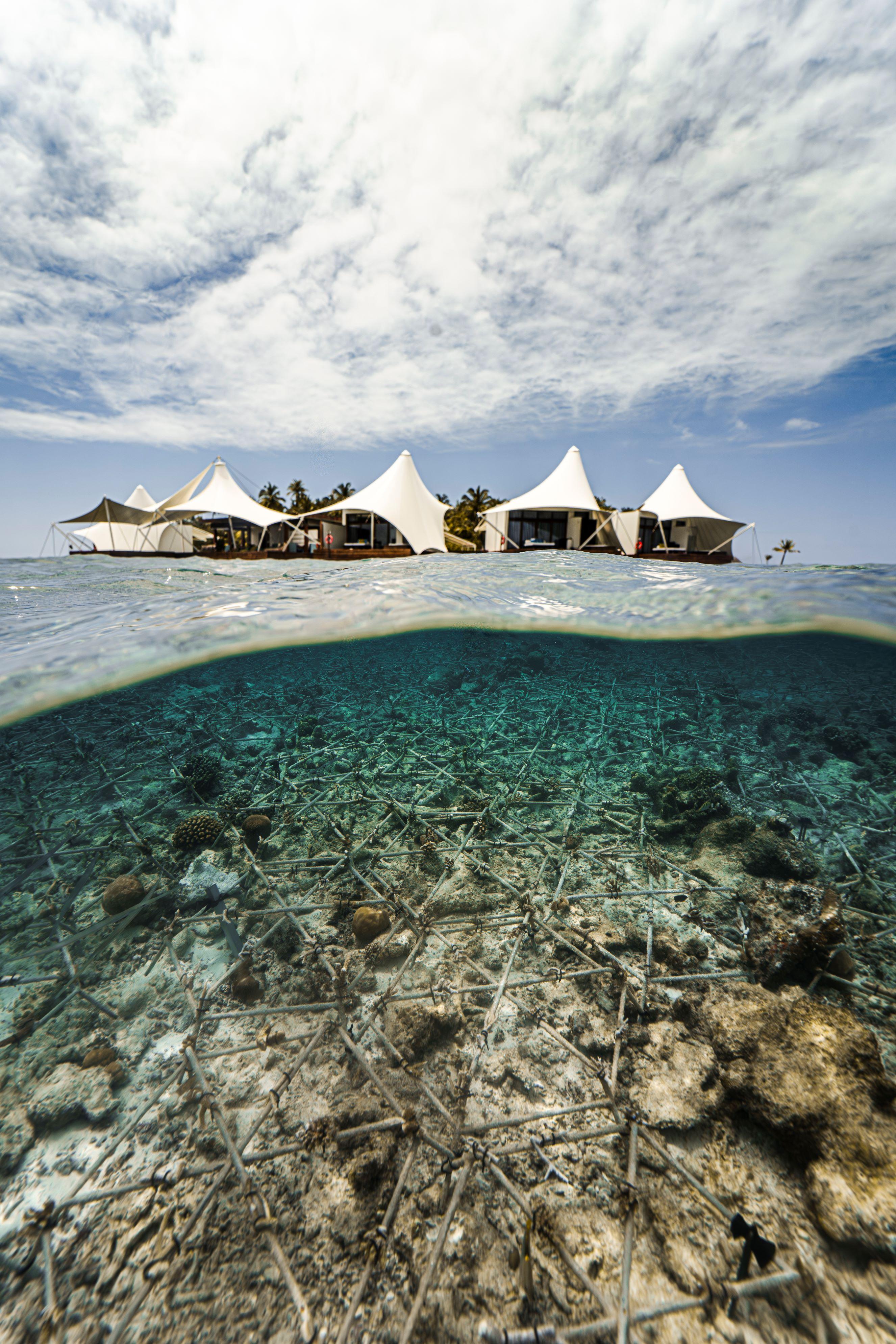 W Maldives - Sea Of Stars 13.jpg