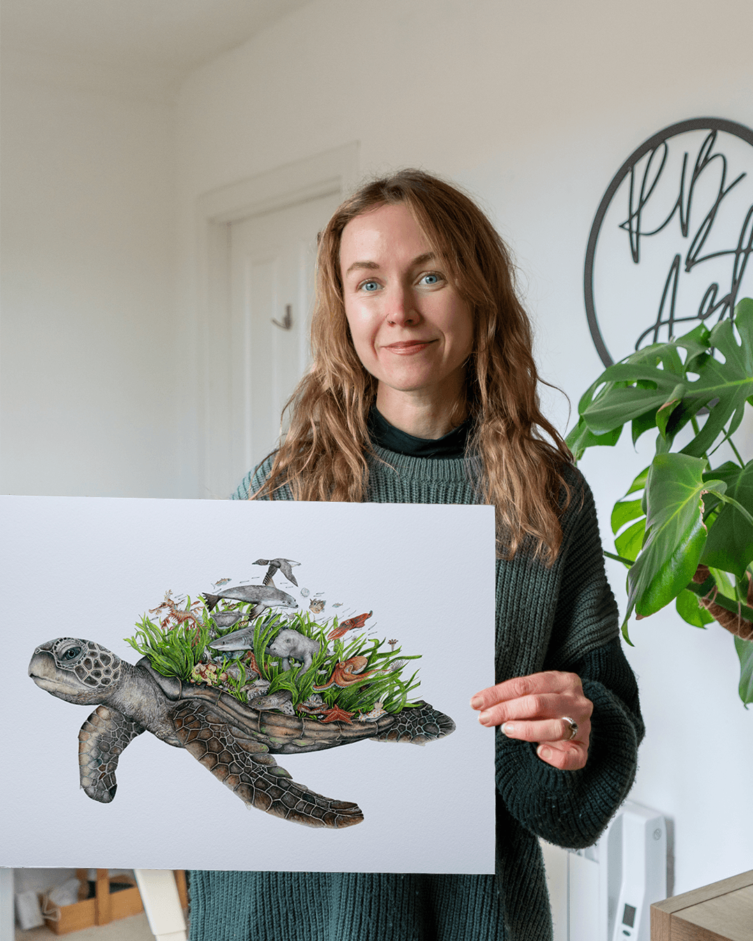 Meadow Turtle Photo Comp.png