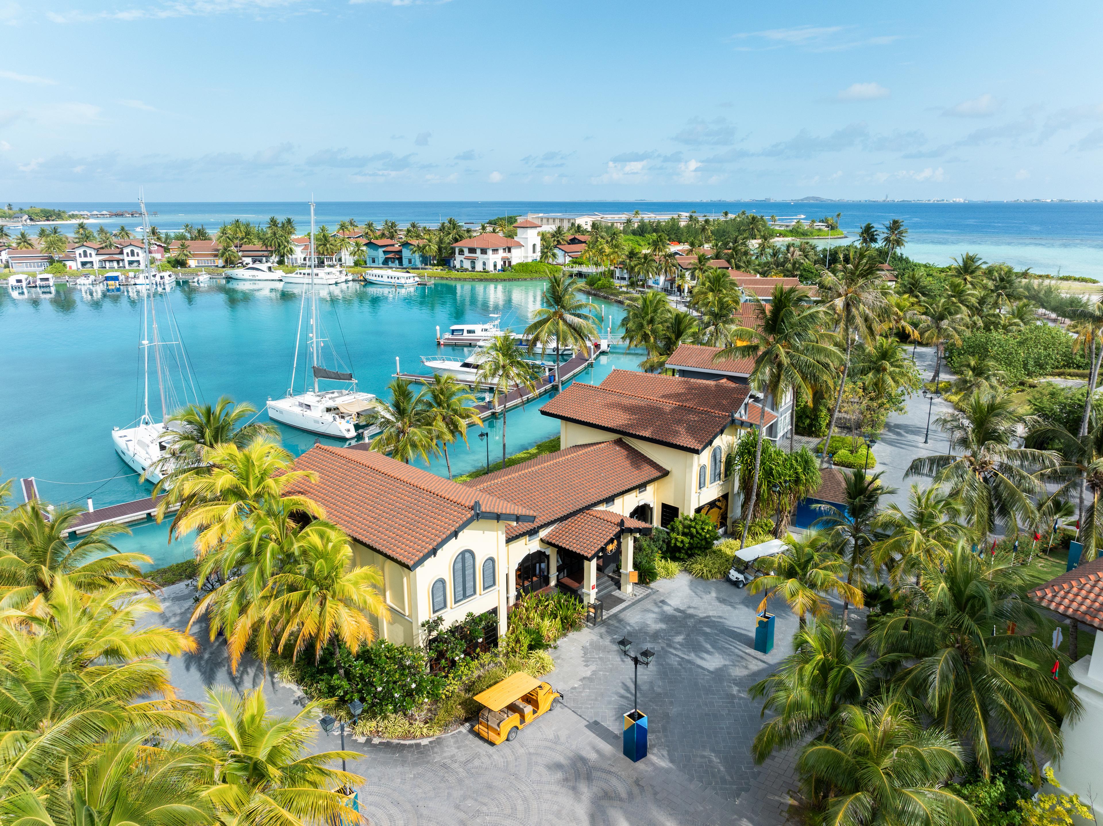 Ministry of Crabs x CXR.jpg.jpeg