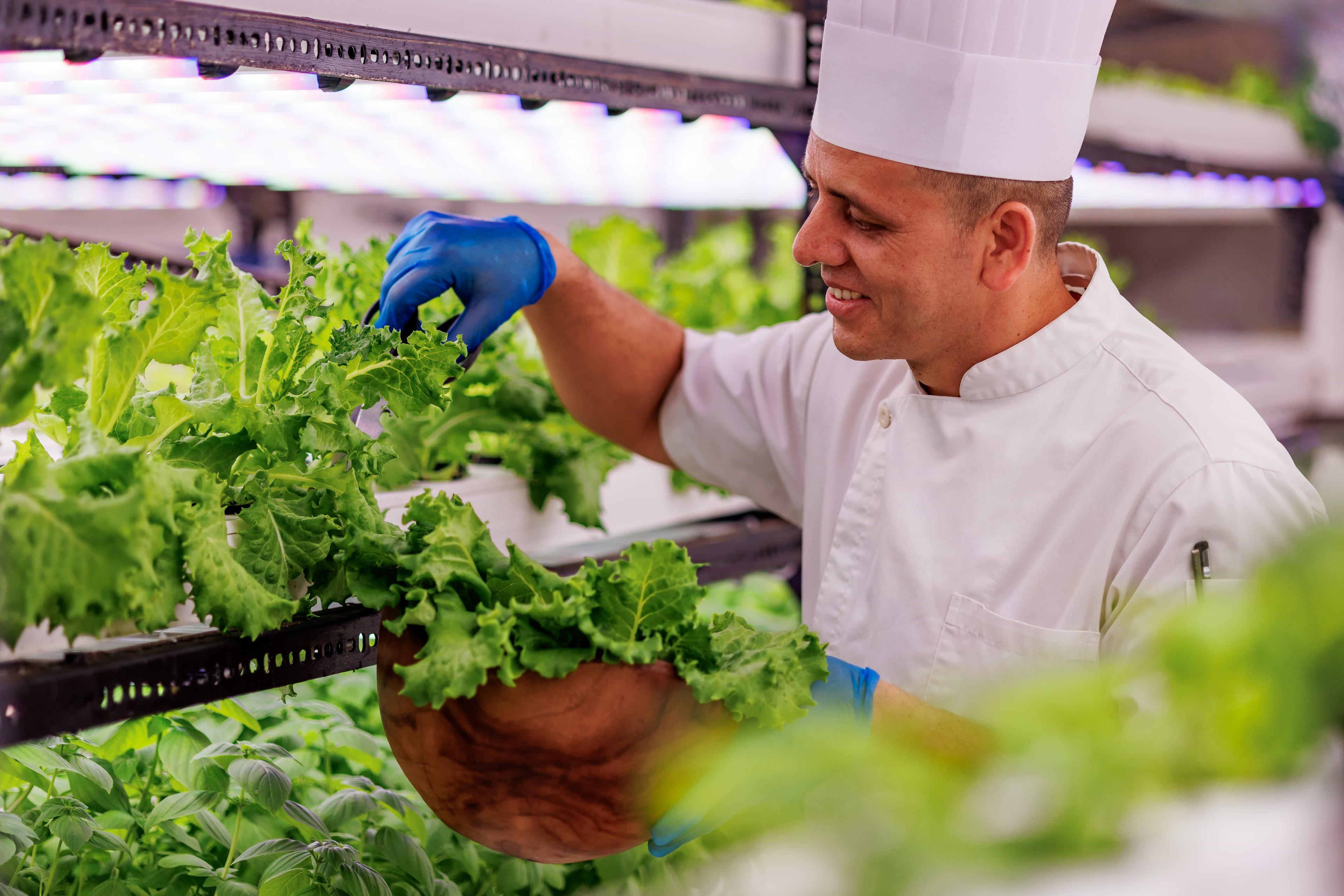 OZEN LIFE MAADHOO - Hydroponics Garden 1.jpg