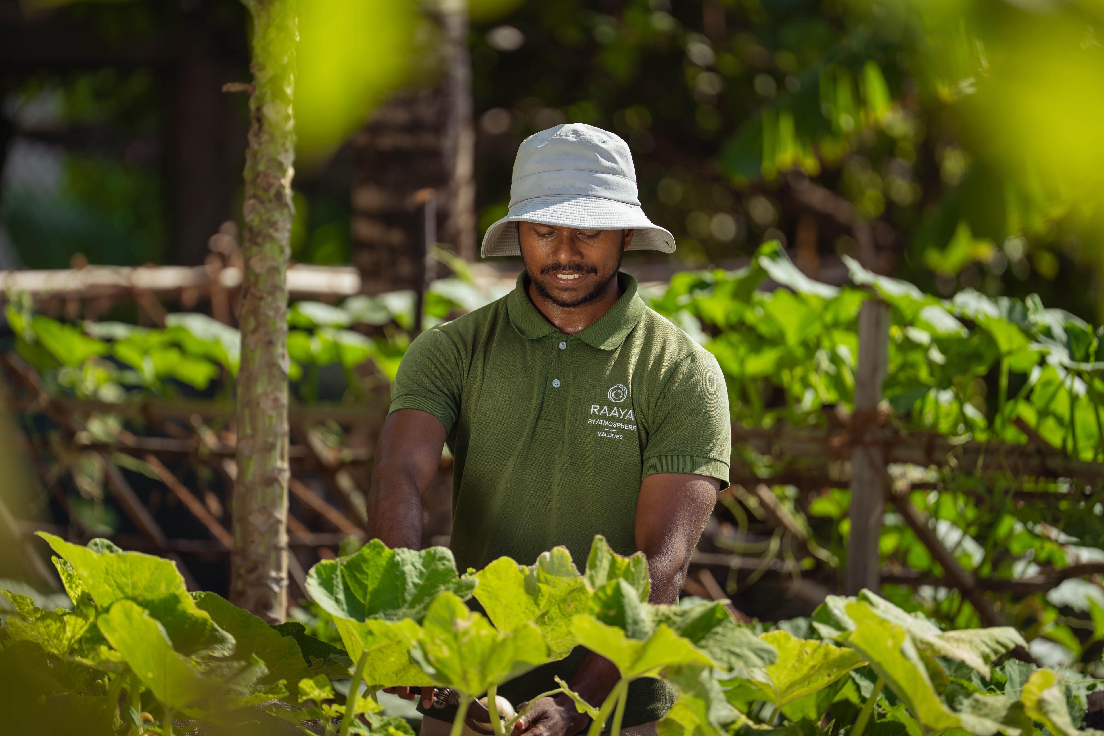 RAAYA by Atmosphere - SEB'S FARM 3.jpg