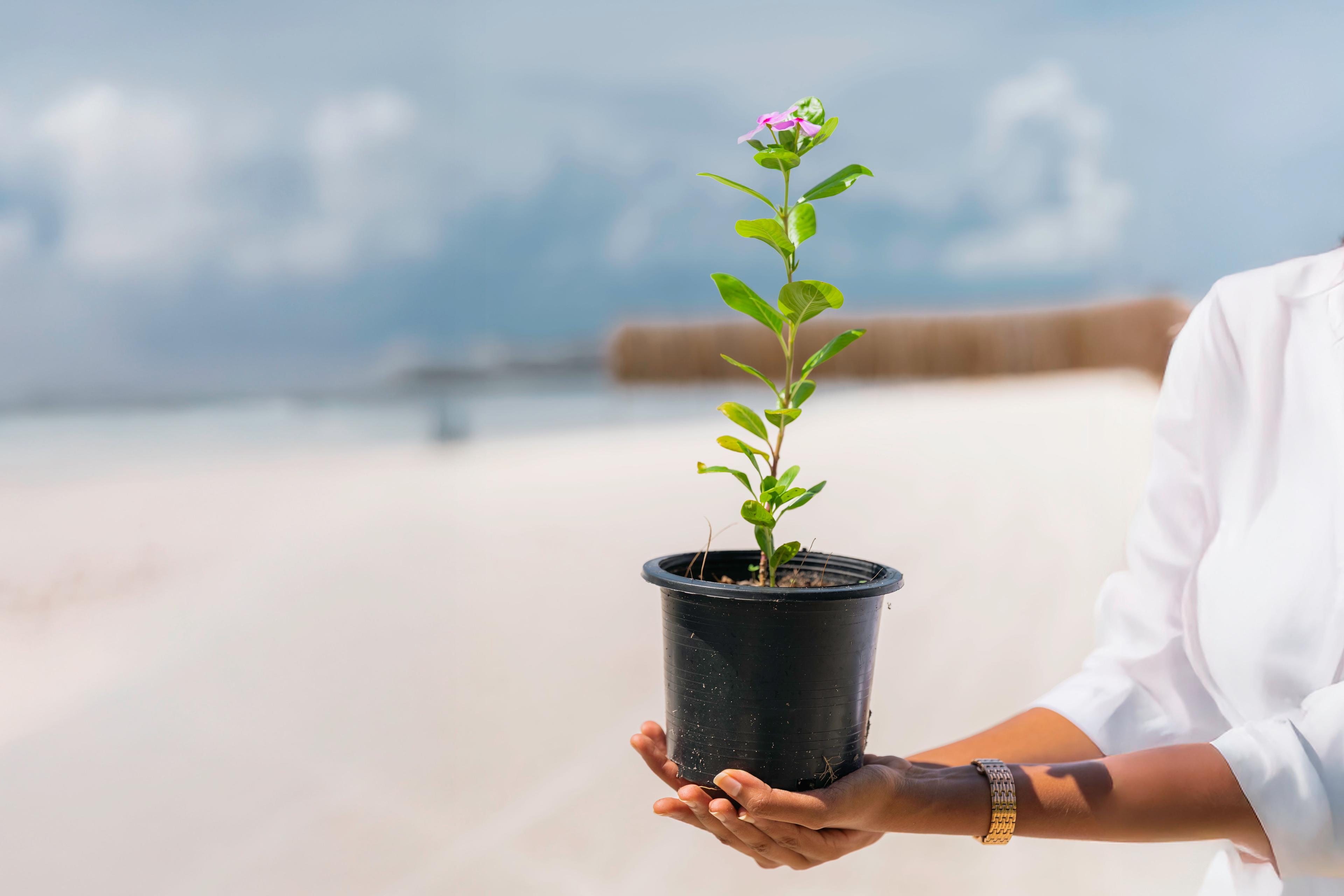 SSVR Earth Day Tree Planting.2026_4.jpg