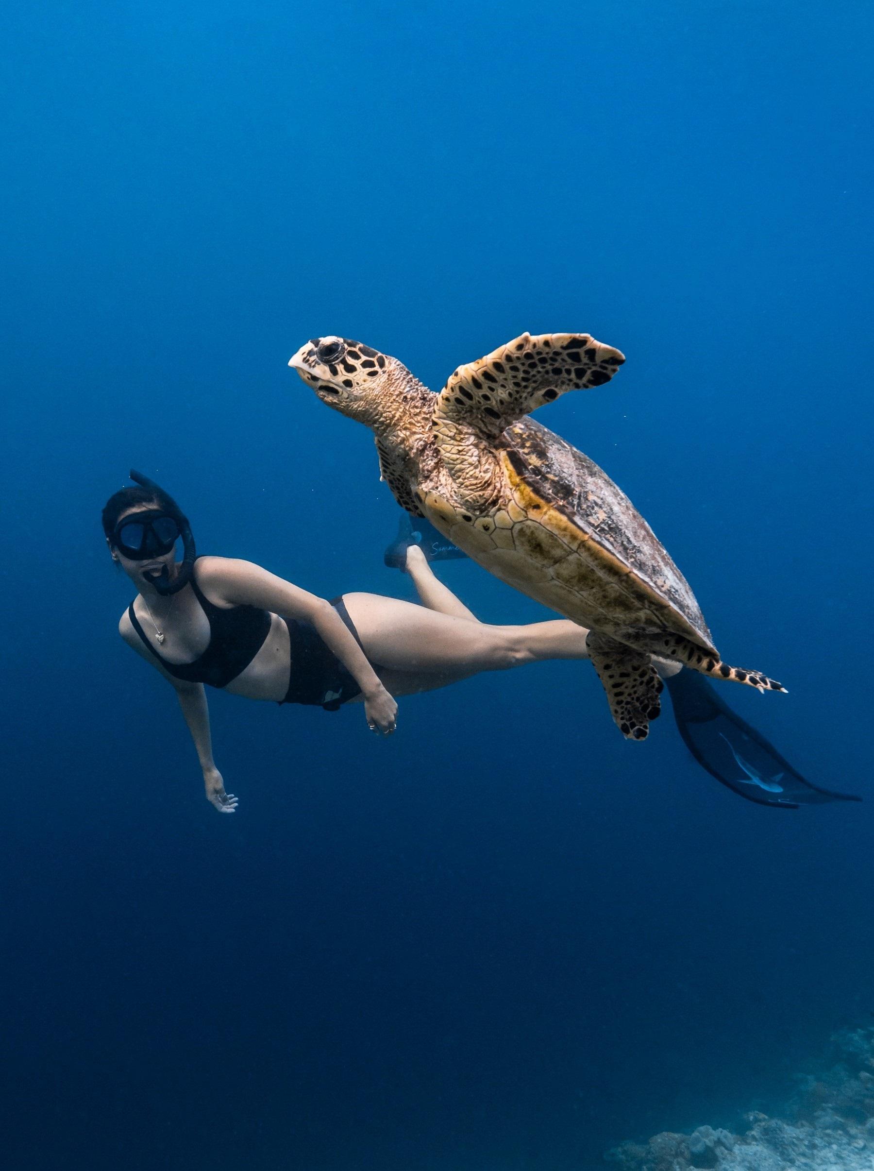 The Ritz-Carlton Maldives, Fari Islands - Snorkeling.jpg
