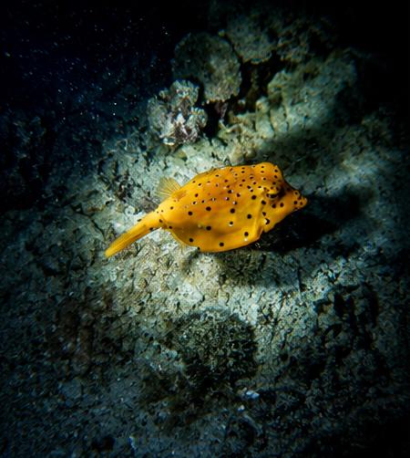 1 (19).jpg