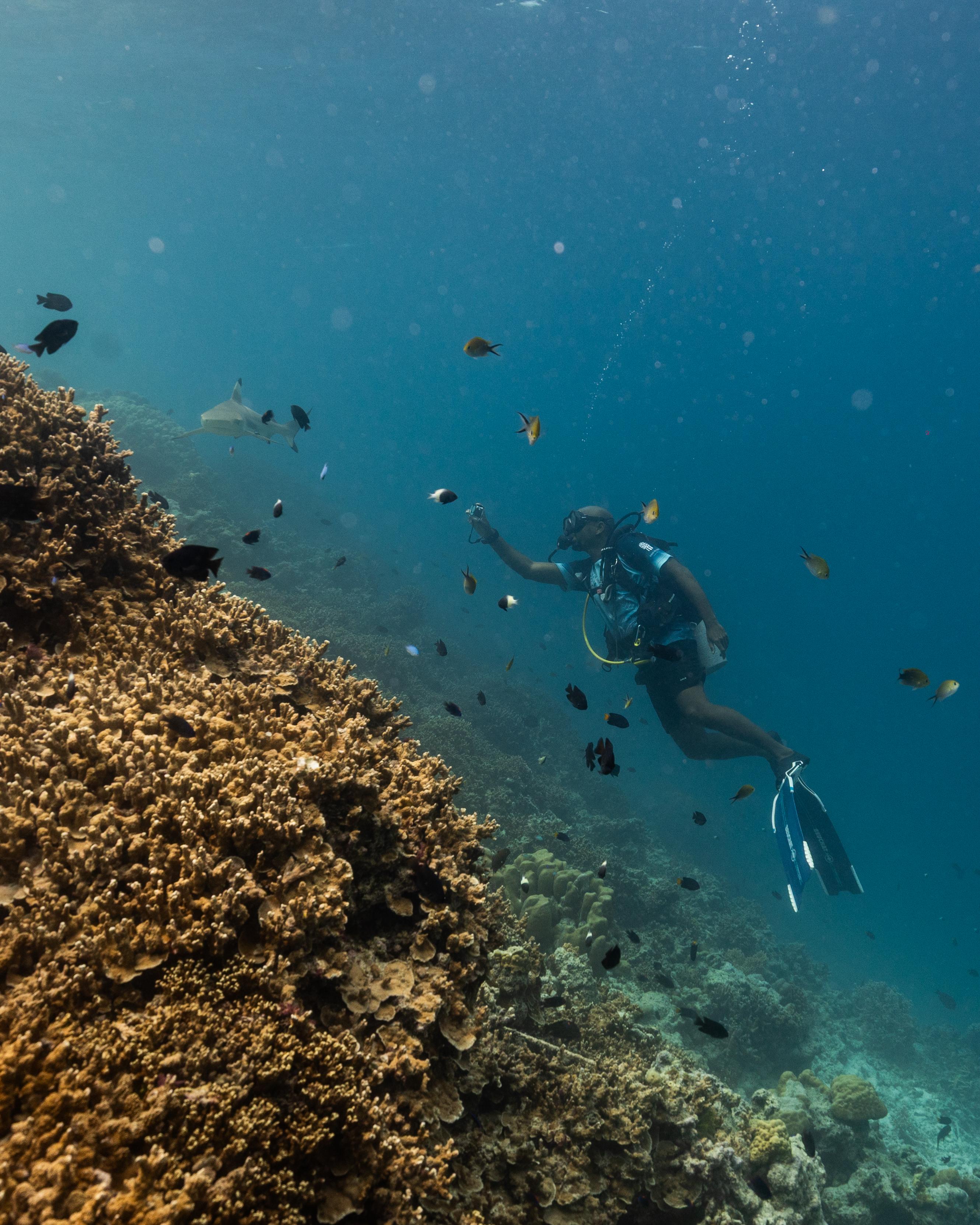 Mujutaba Ali - Marine Centre Manager diving at house reef (2).jpg