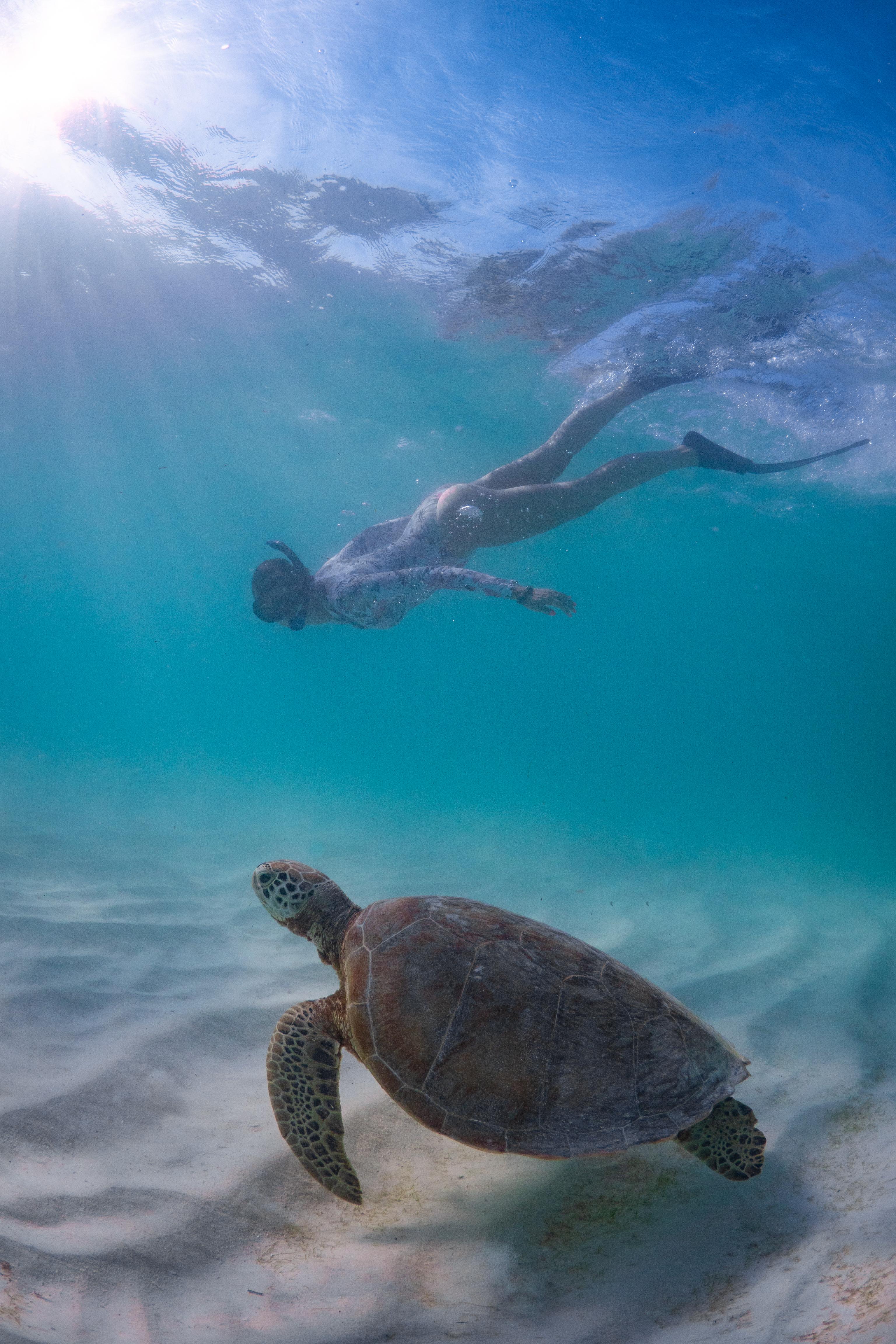 Karo and Turtle.jpg