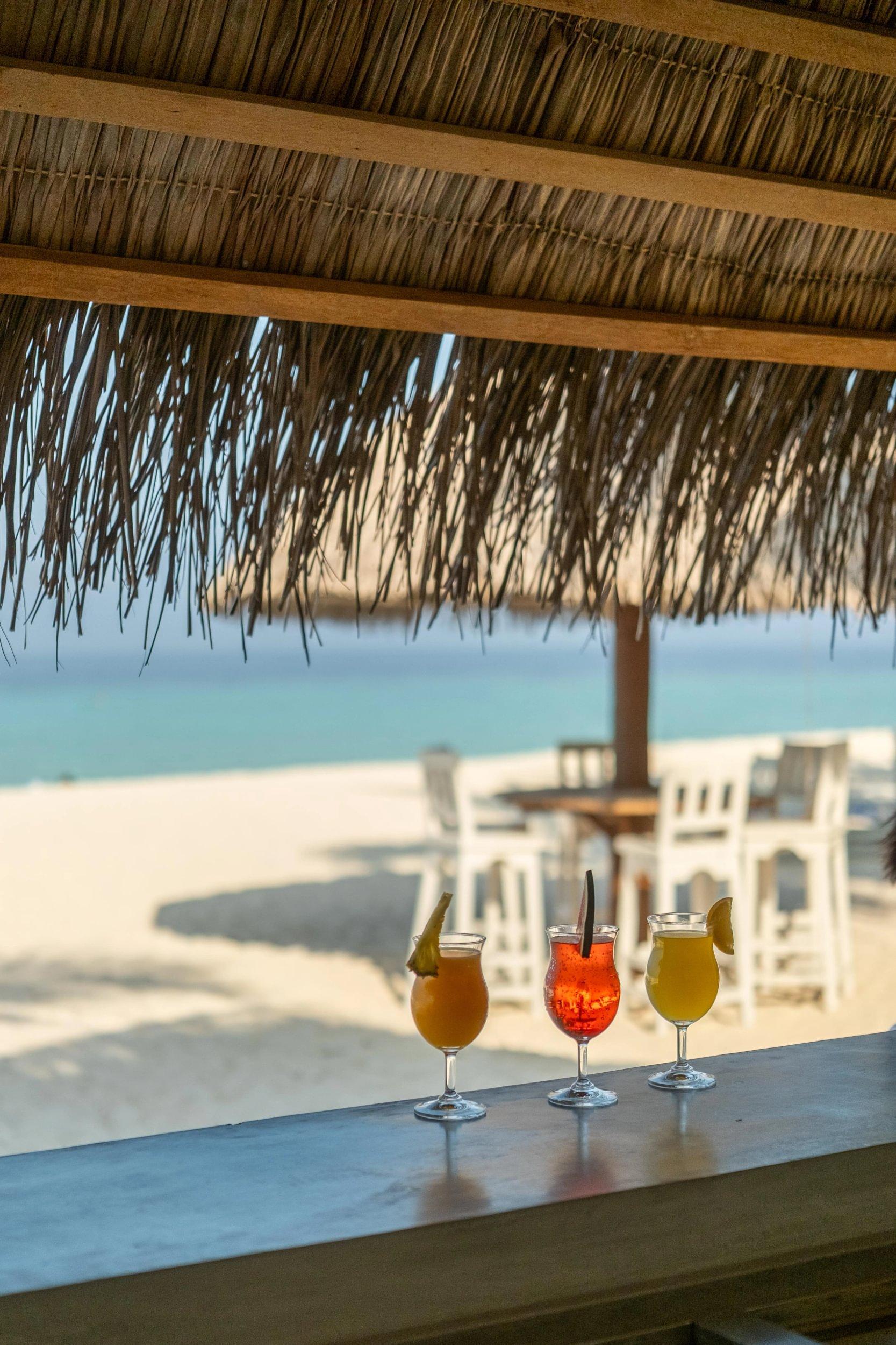 Eri Maldives - Beach Shack - Large1 (1).jpg