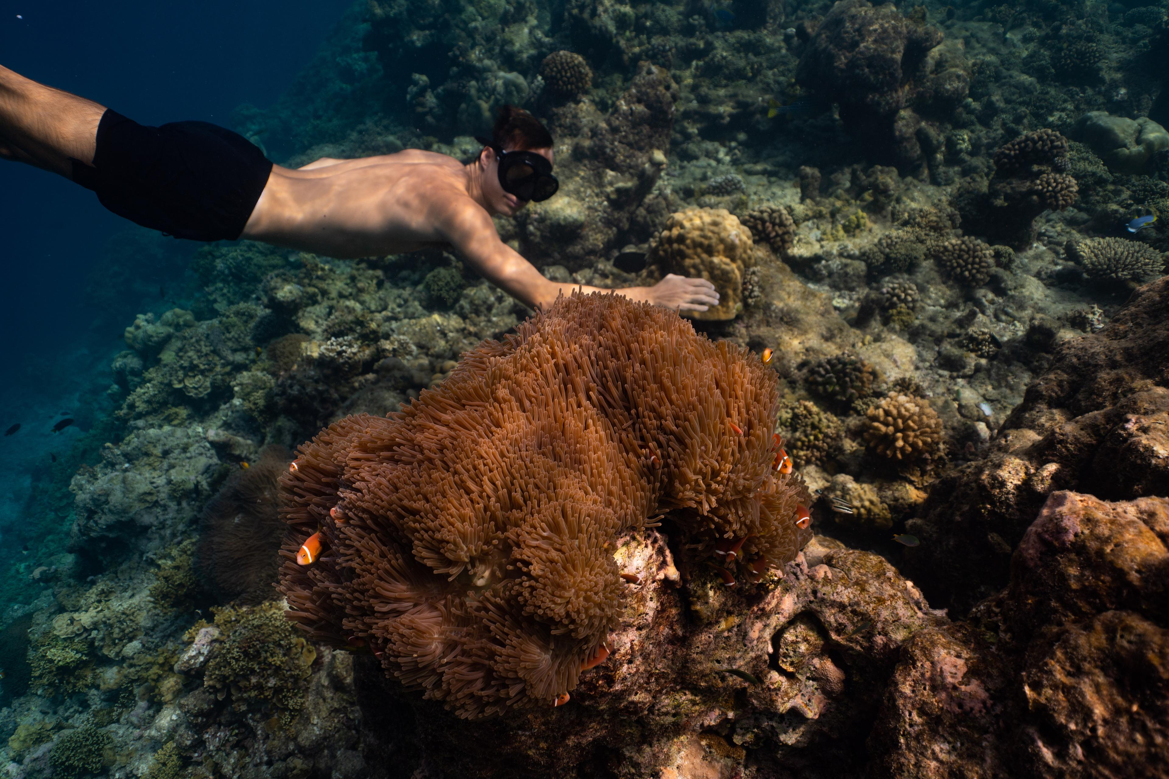 More Ways to Explore Underwater World .jpg
