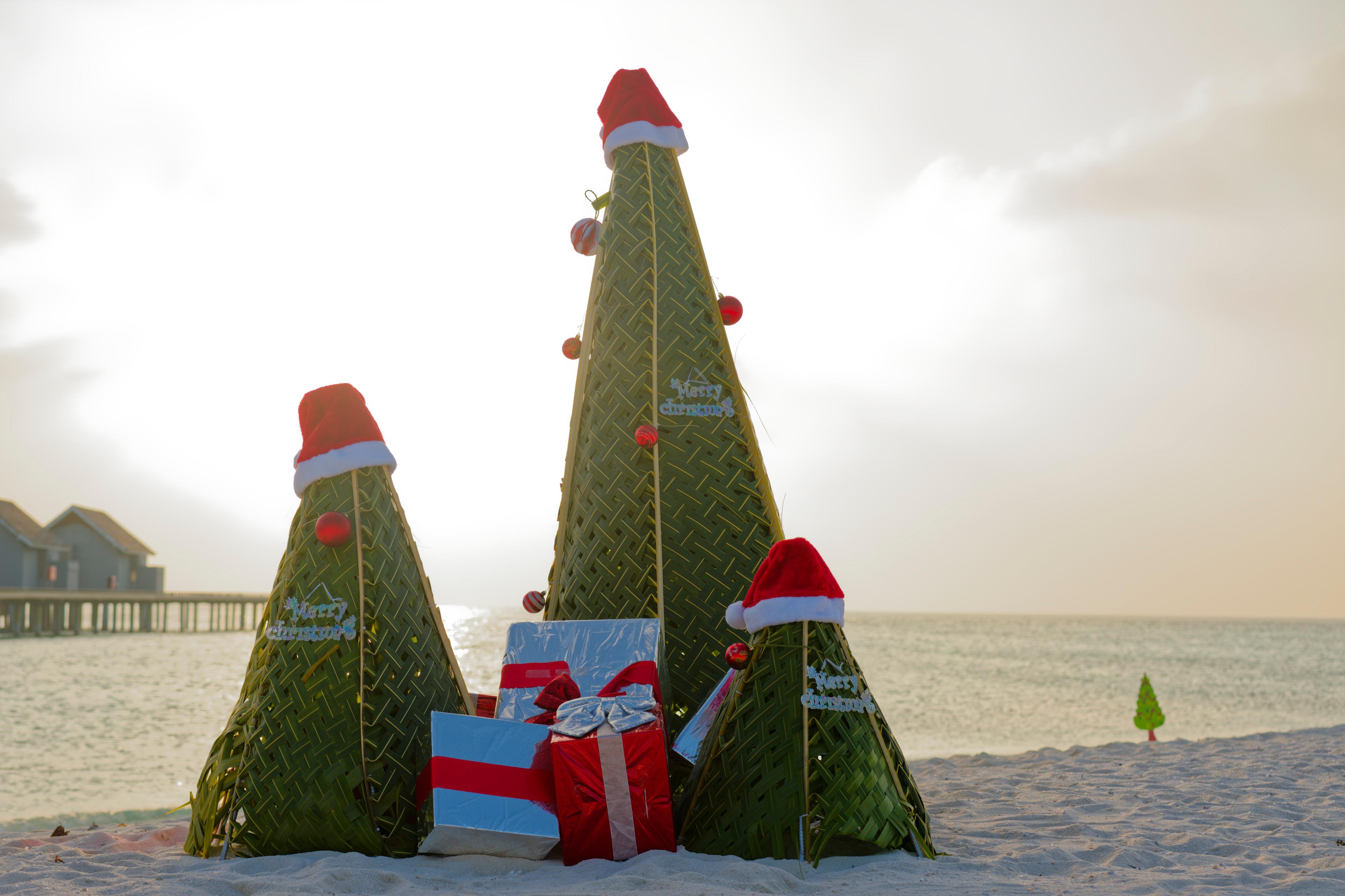 Niva Kuramathi Maldives - Festive Season (5).JPG