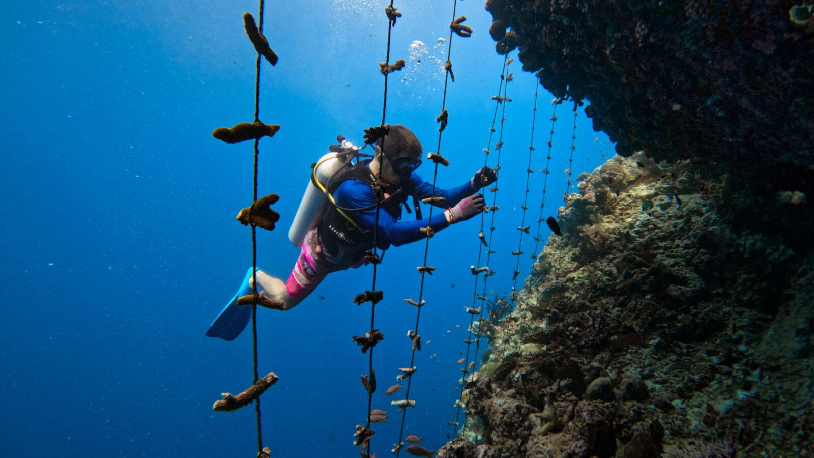 Soneva-Fushi-Rope-Nursery-at-Out-of-the-Sea-House-Reef-1600x900.jpg