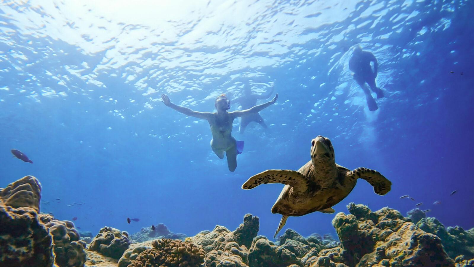 Soneva-Fushi-Snorkeling-with-Turtle-1600x900.jpg