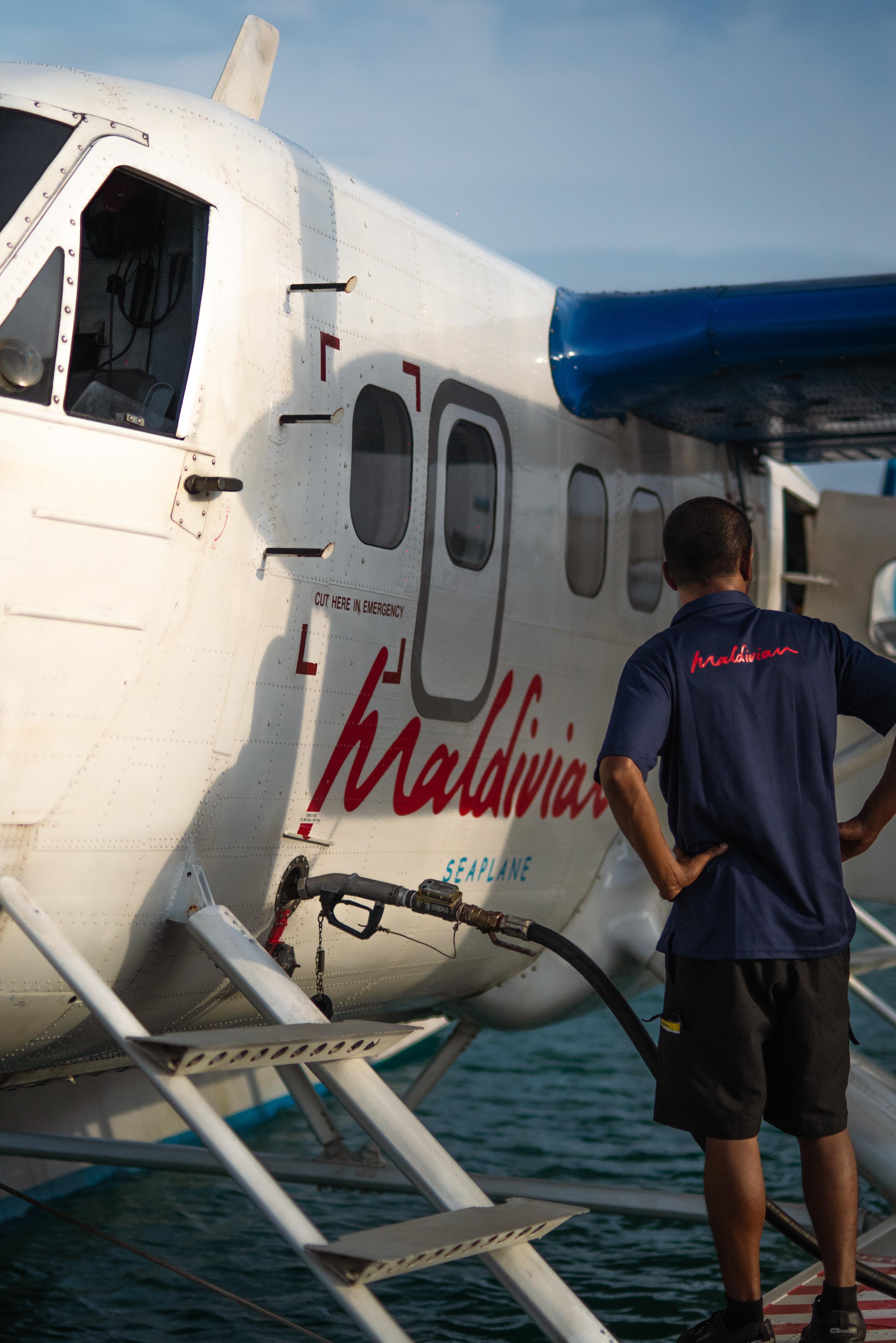 Copy of TTG03217.jpg