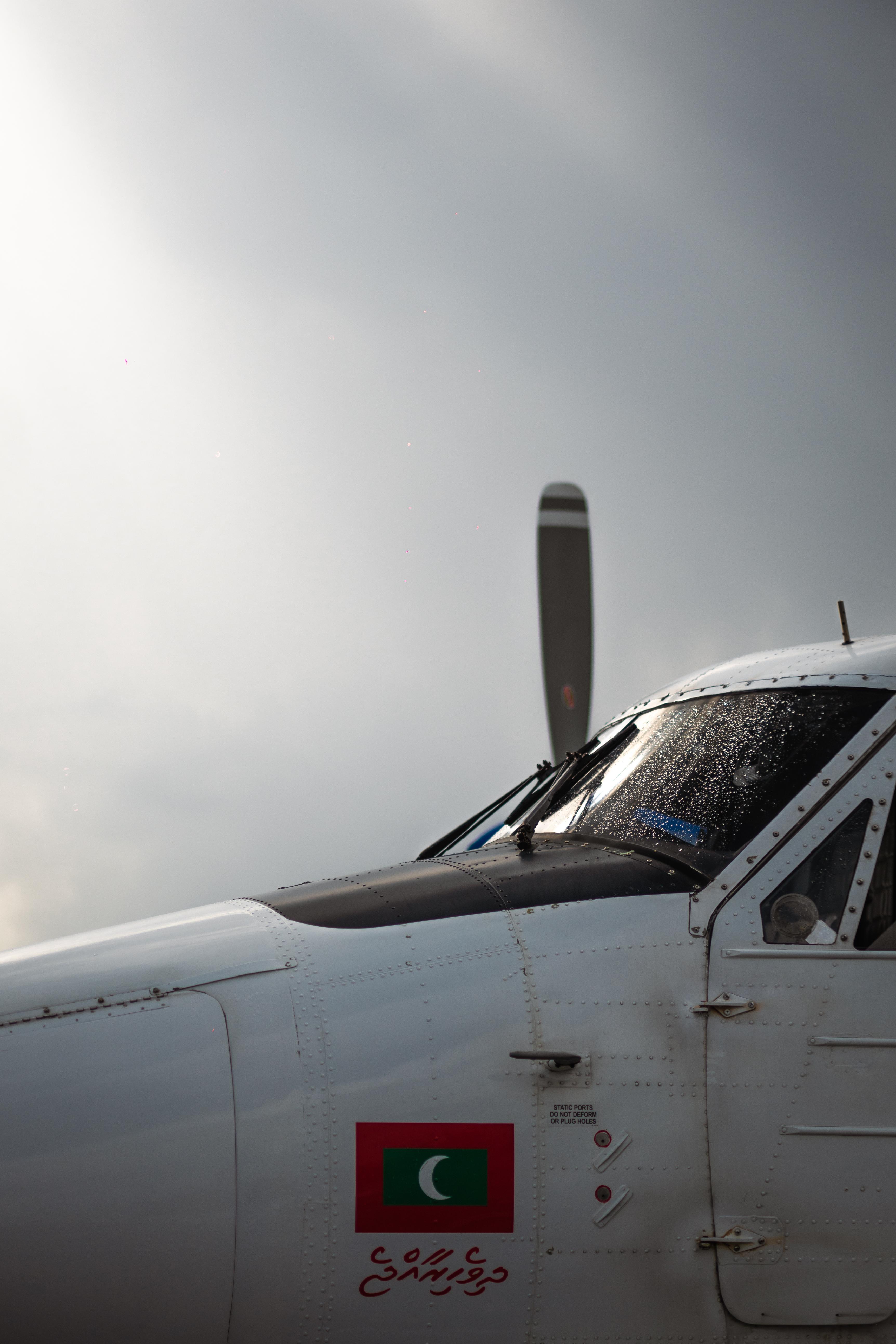 Copy of TTG03344.jpg