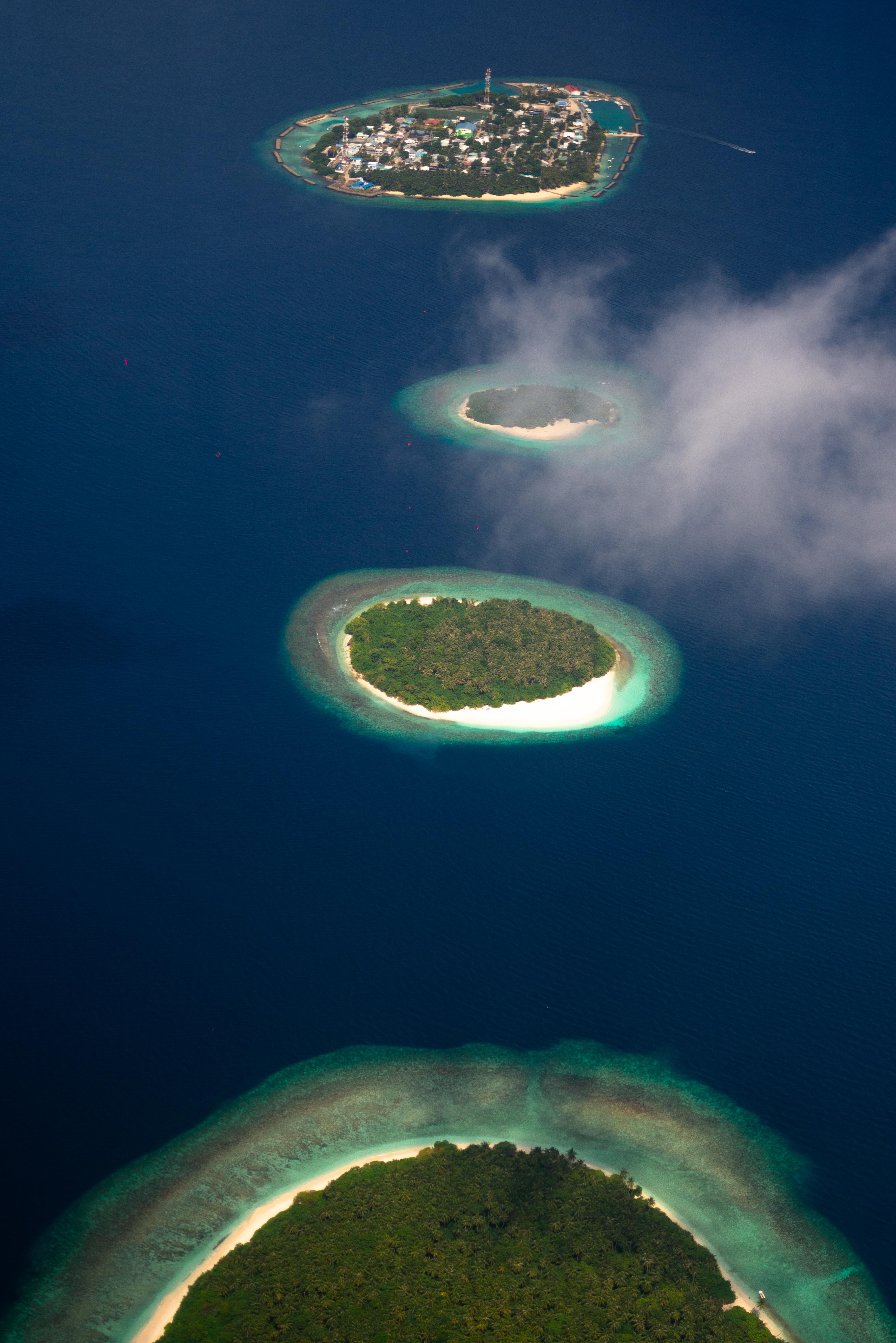 Copy of TTG03765.jpg