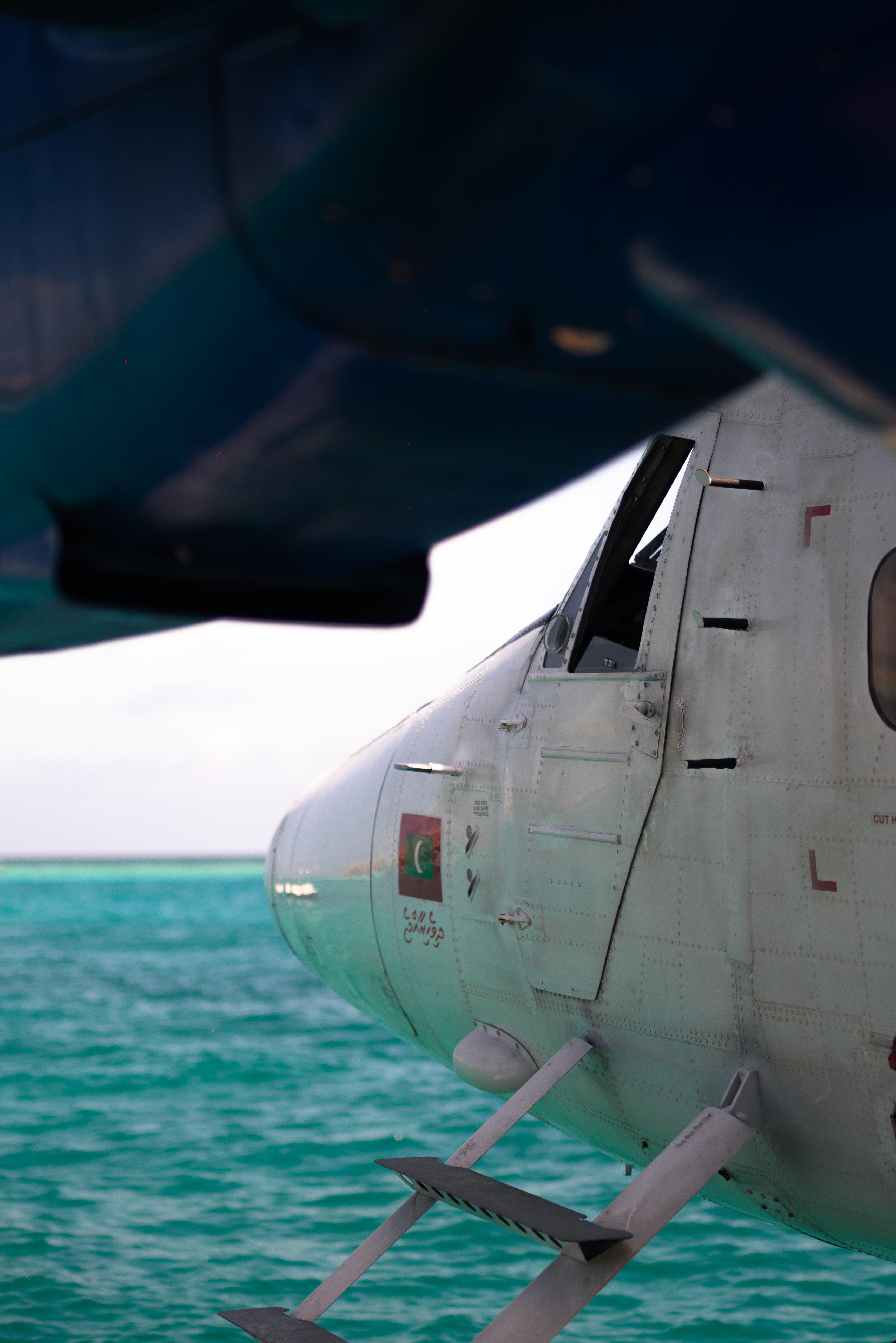 Copy of TTG03913.jpg