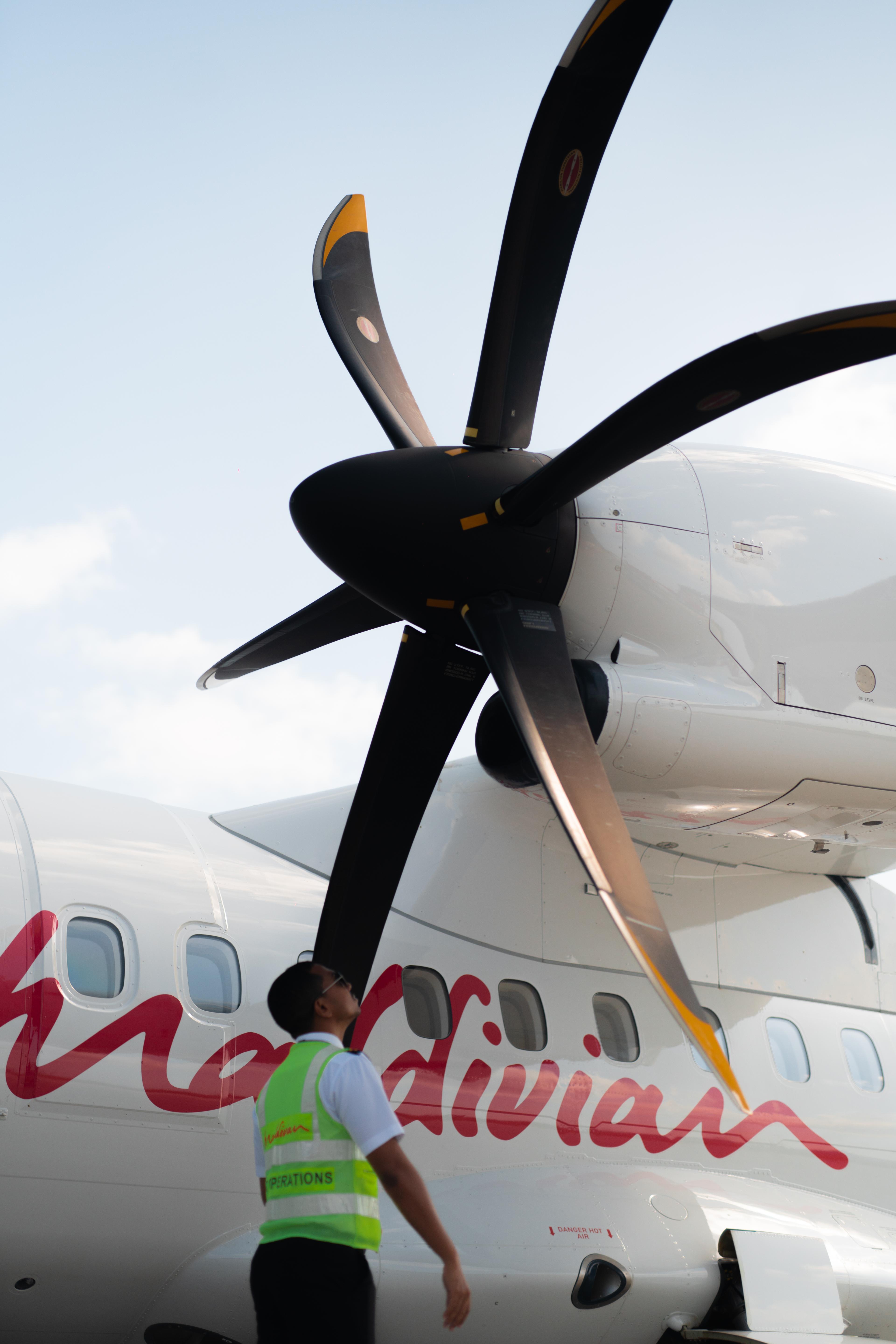 Copy of TTG03954.jpg