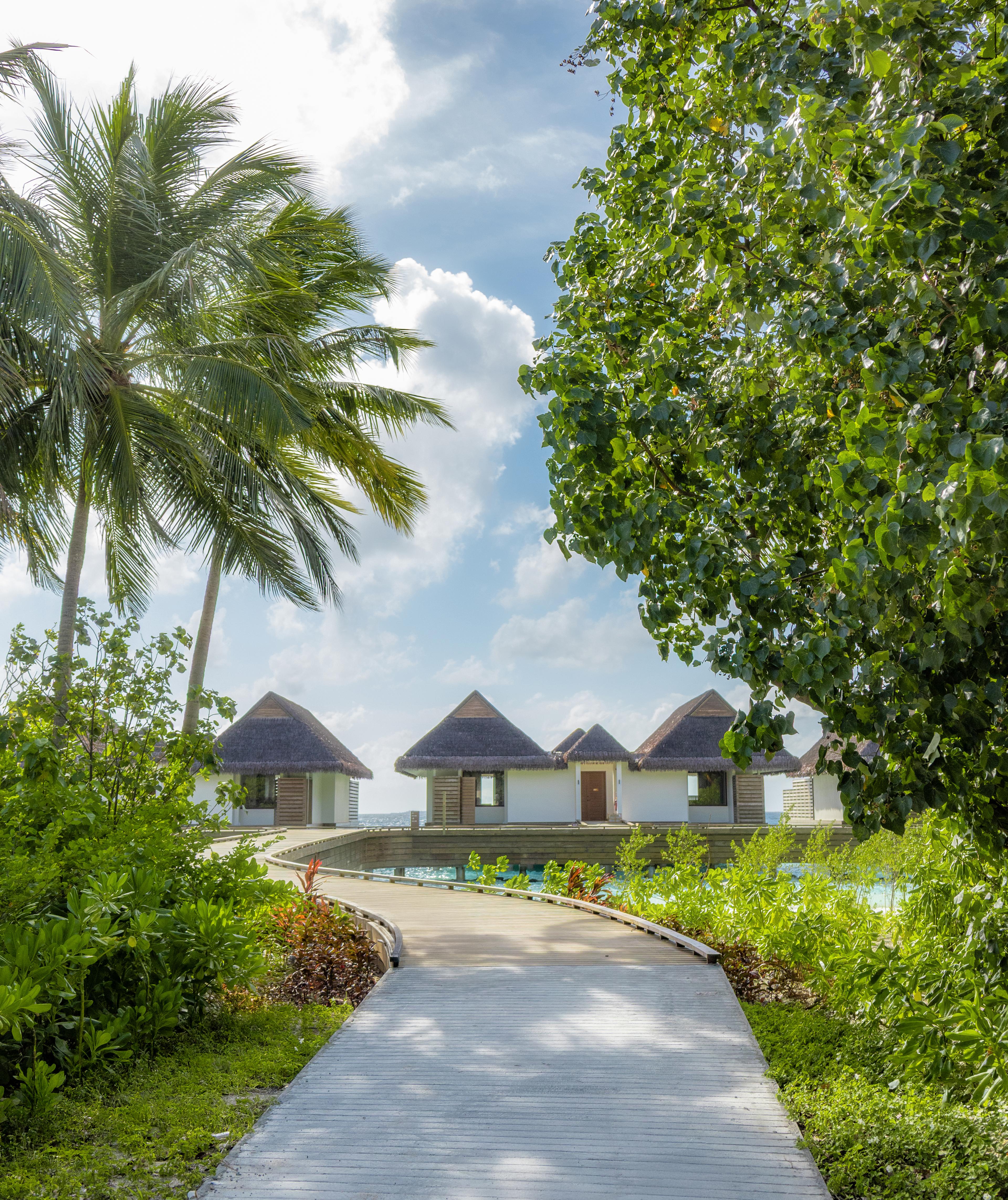 dusitd2-feydhoo-maldives-accommodation-Two Bedroom Party Suite with Private Pool-&-Two Bedroom Family Suite with Private Pool-exterior-overview-2.jpg