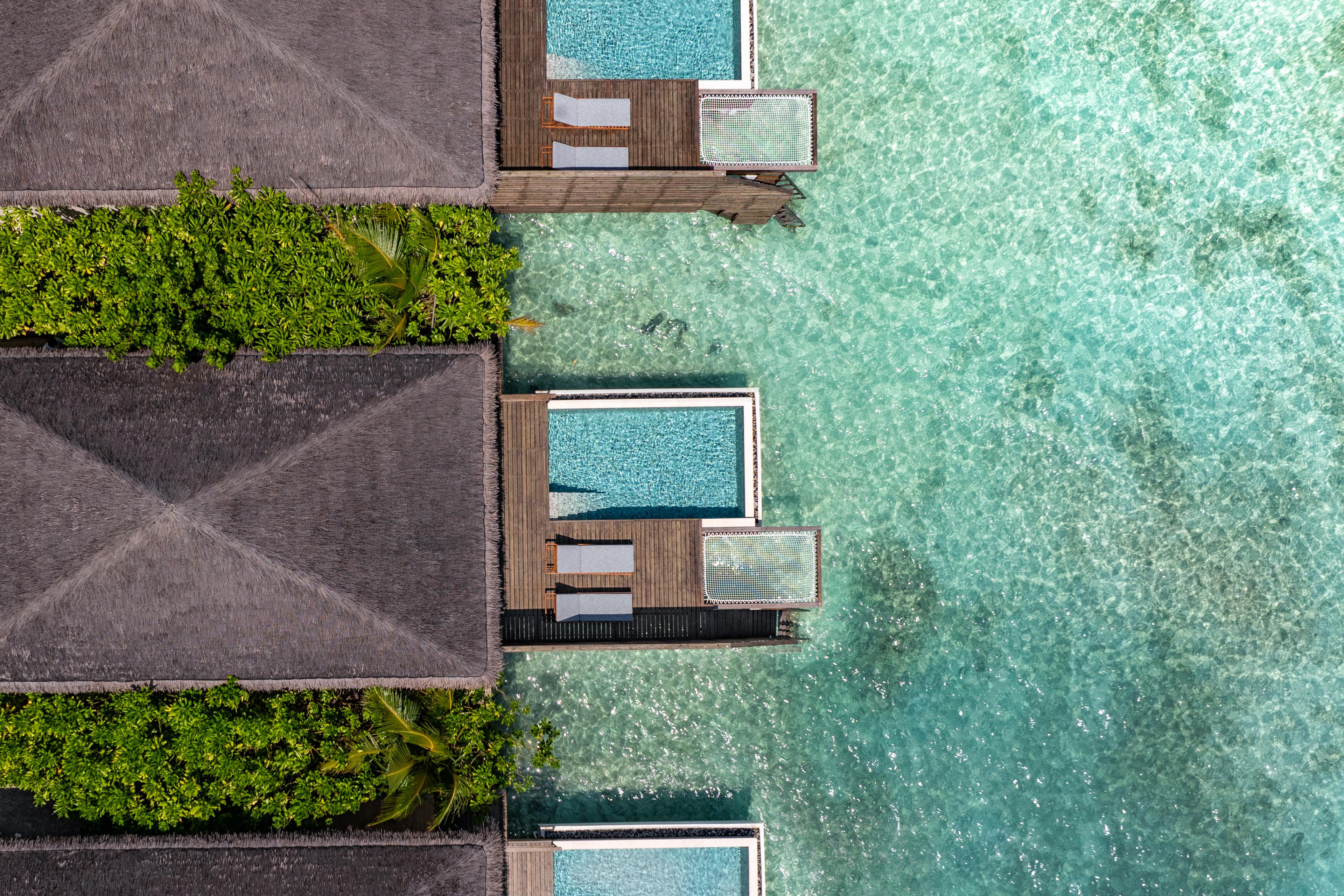 dusitd2-feydhoo-maldives-accommodation-waterfront-pool-villa-pool- aerial.jpg