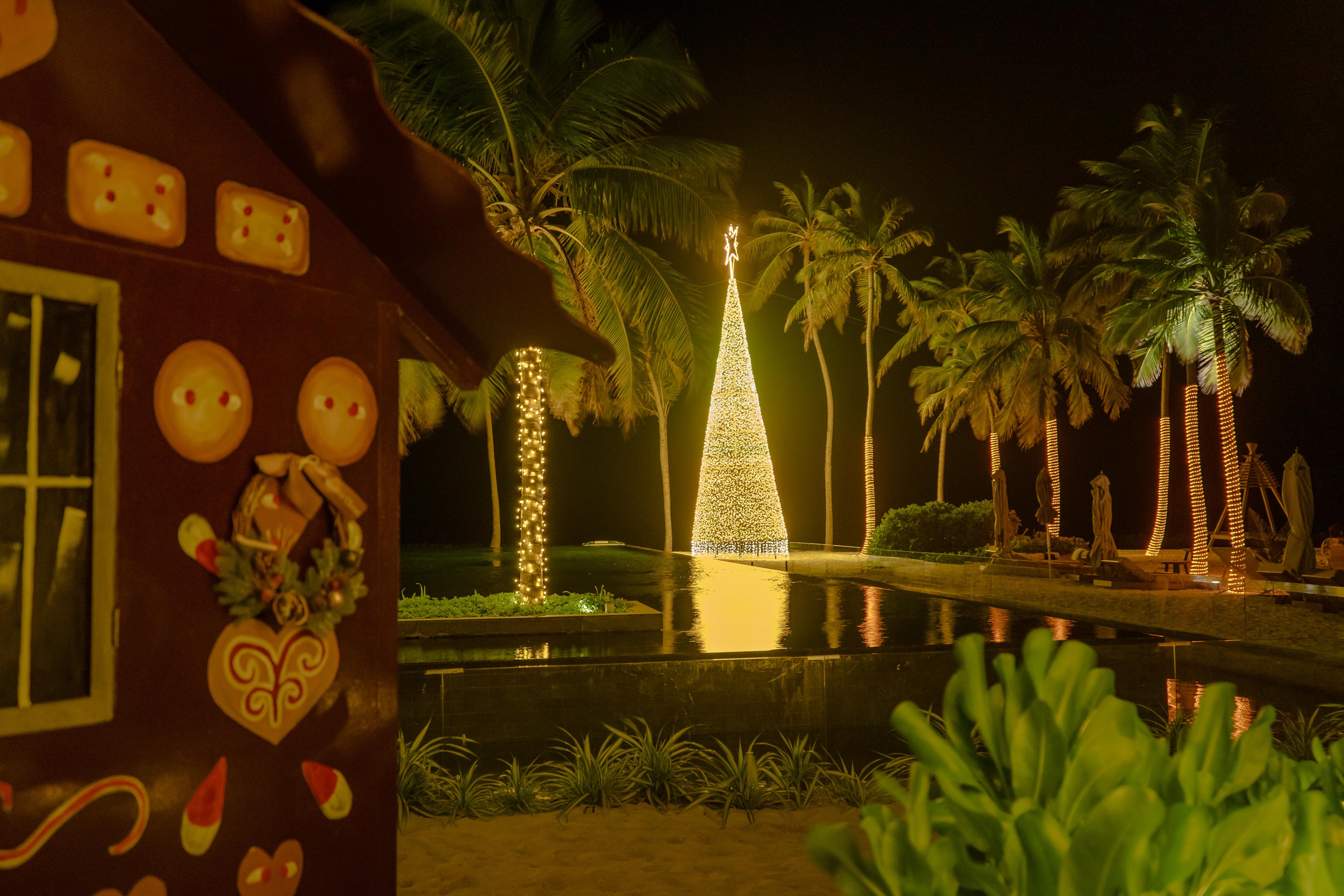 Christmas-Tree-Night-Display.jpg