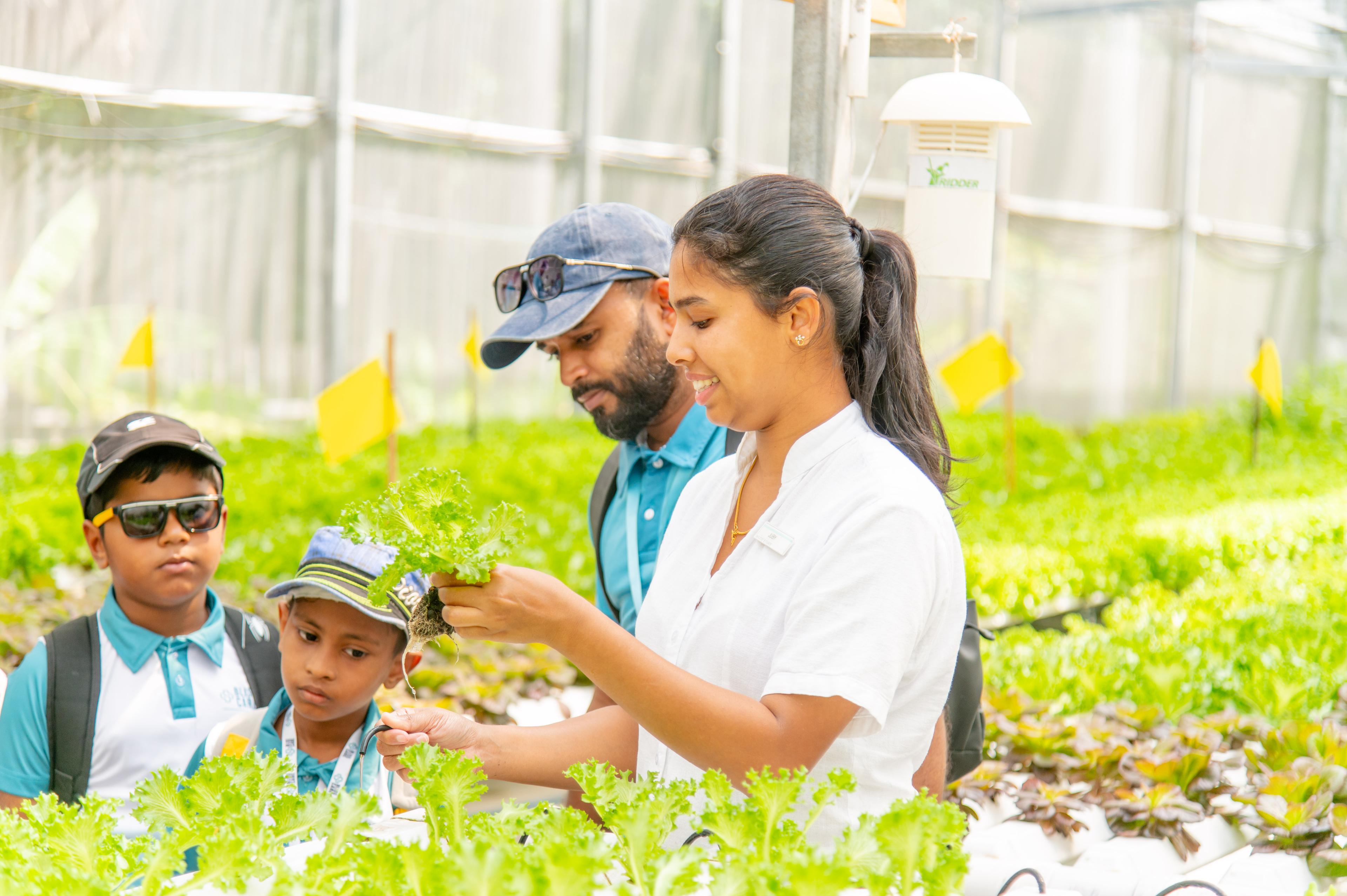 Le Meridien Maldives Resort and Spa - Bliss Care Foundation - Greenhouse tour.jpg