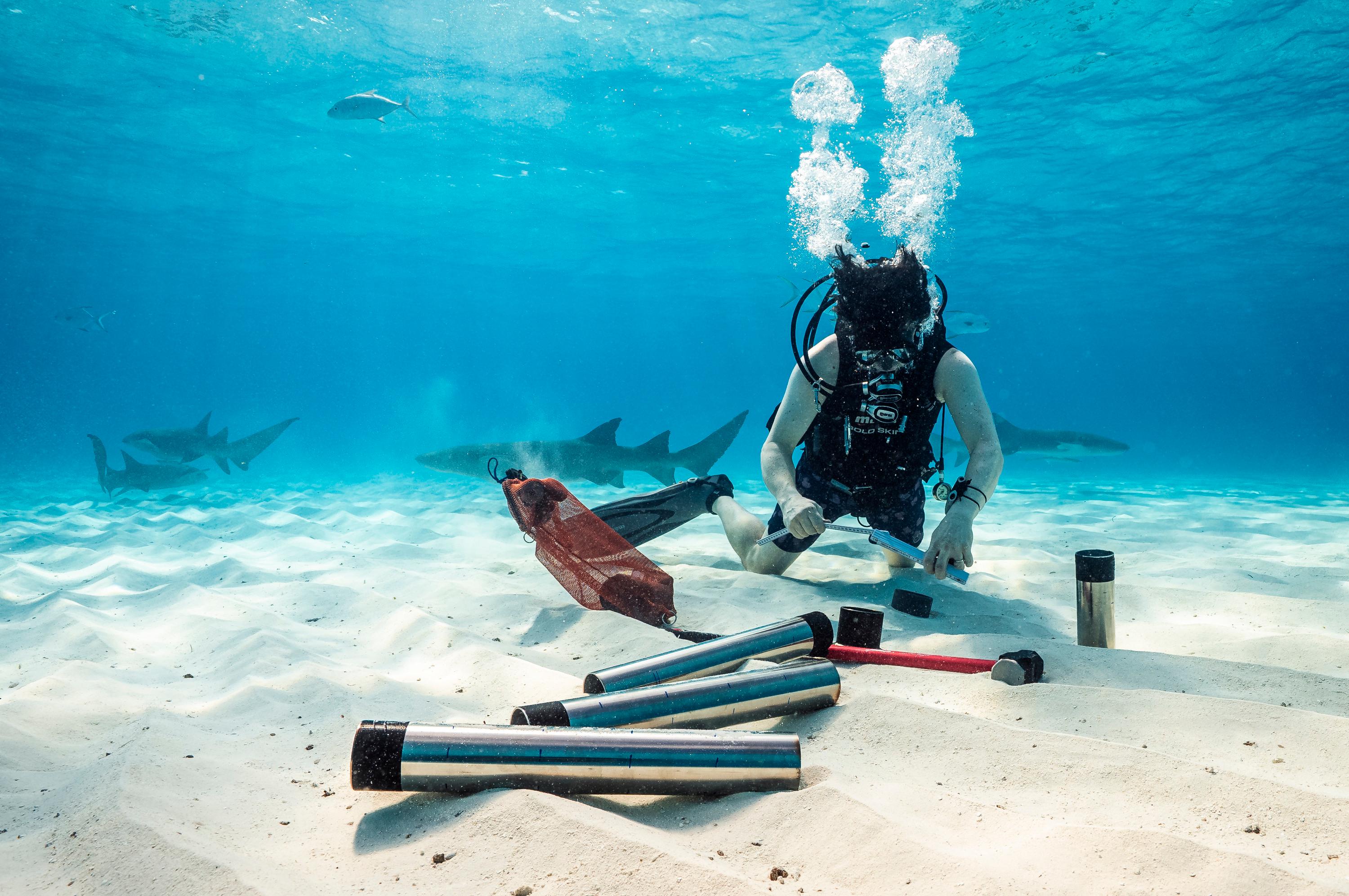 Six Senses Kanuhura_COASTS Project1.jpg