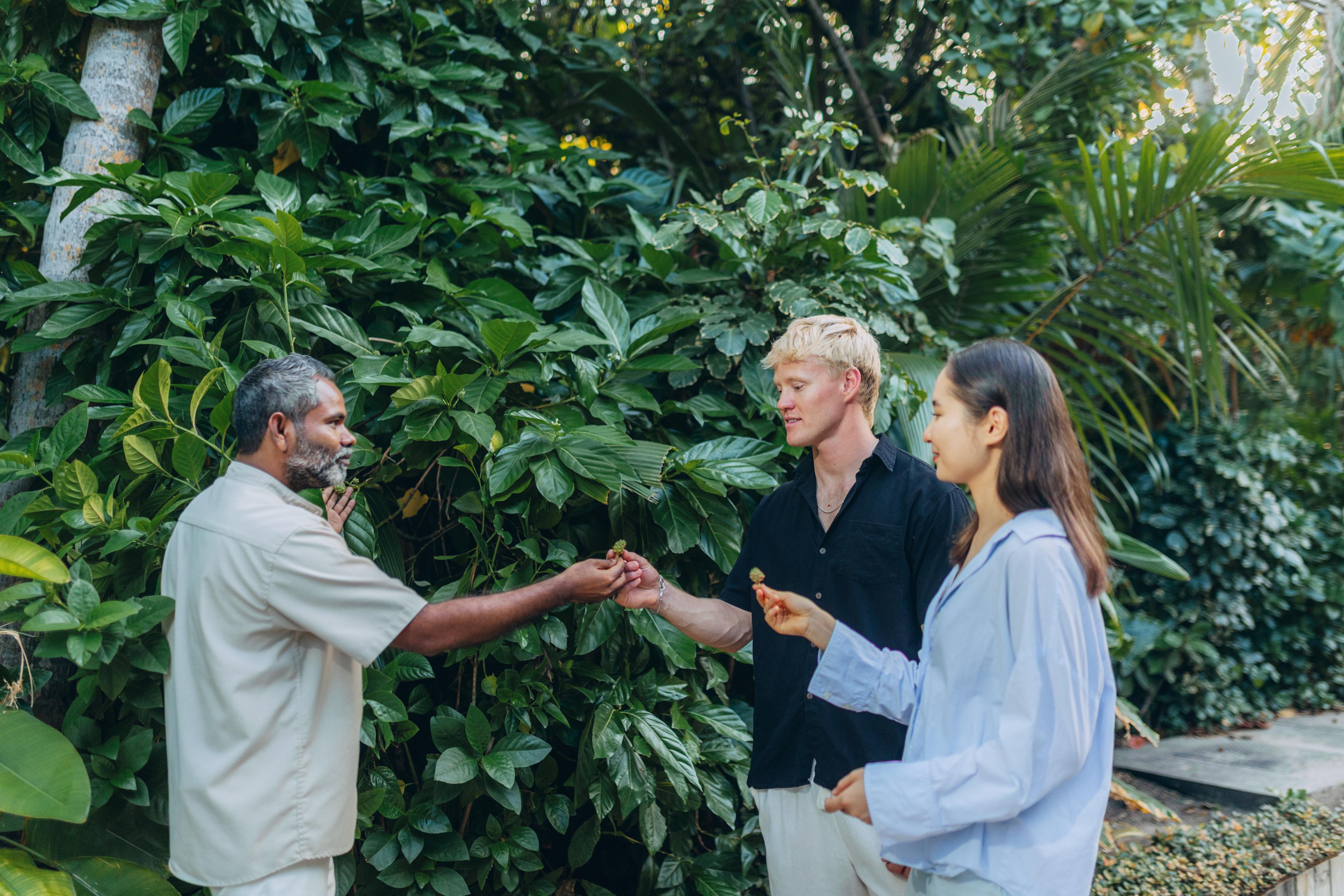 The Westin Maldives Miriandhoo Resort - GT 2.0 - Island Tour - Botanical Garden 02.jpg