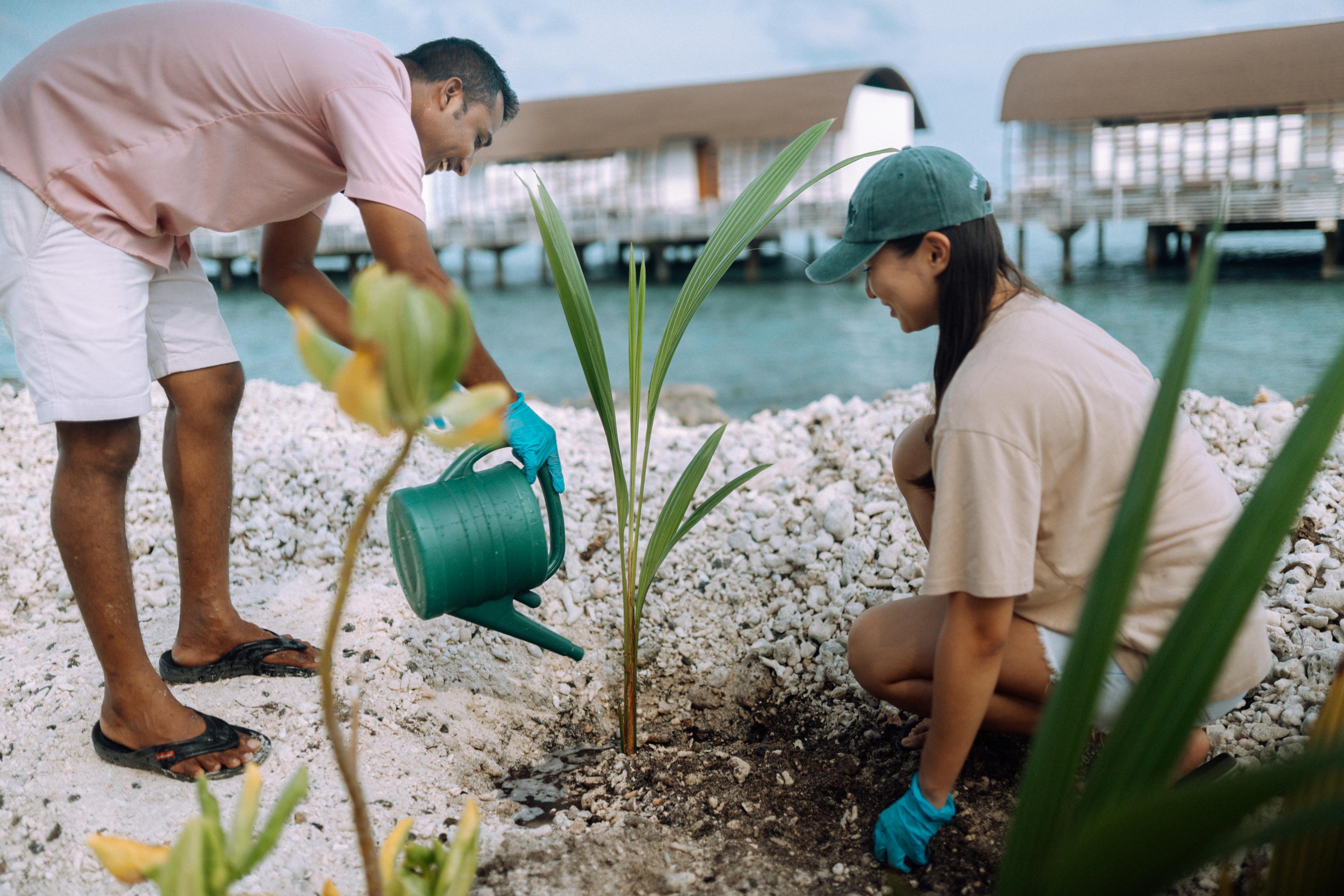 The Westin Maldives Miriandhoo Resort - Tree Planting on Earth Day 02.jpg