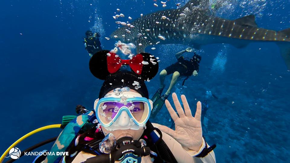 Kandooma Whale Shark Diver.jpg