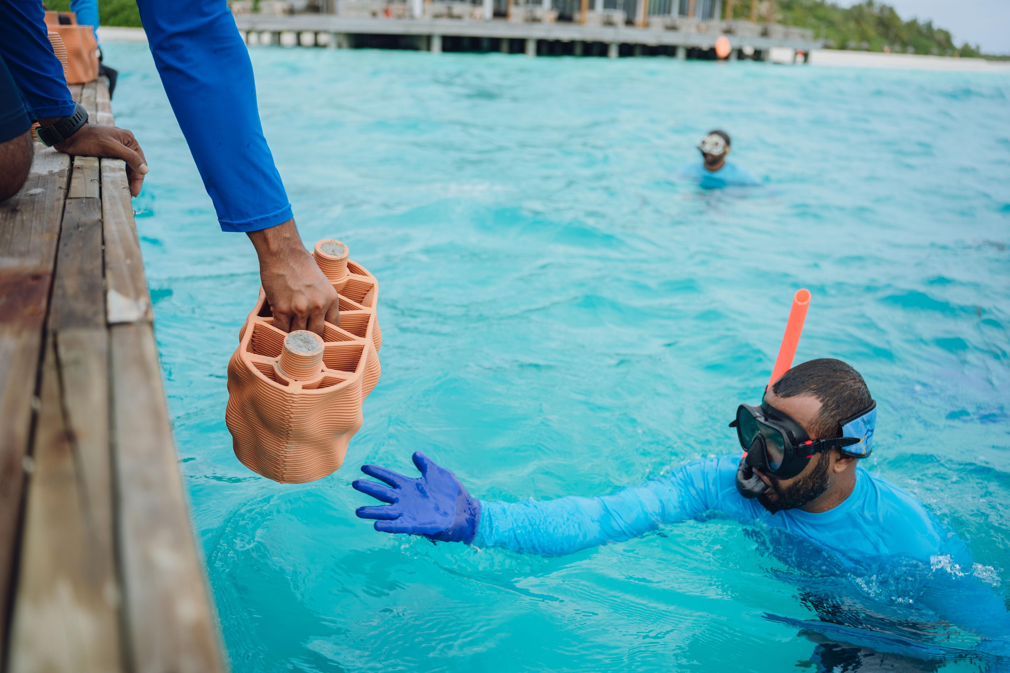 680539-Clay reef modules were carefully deployed to the lagoon, laying the foundation for a thriving artificial reef-c1e46d-original-178.jpg