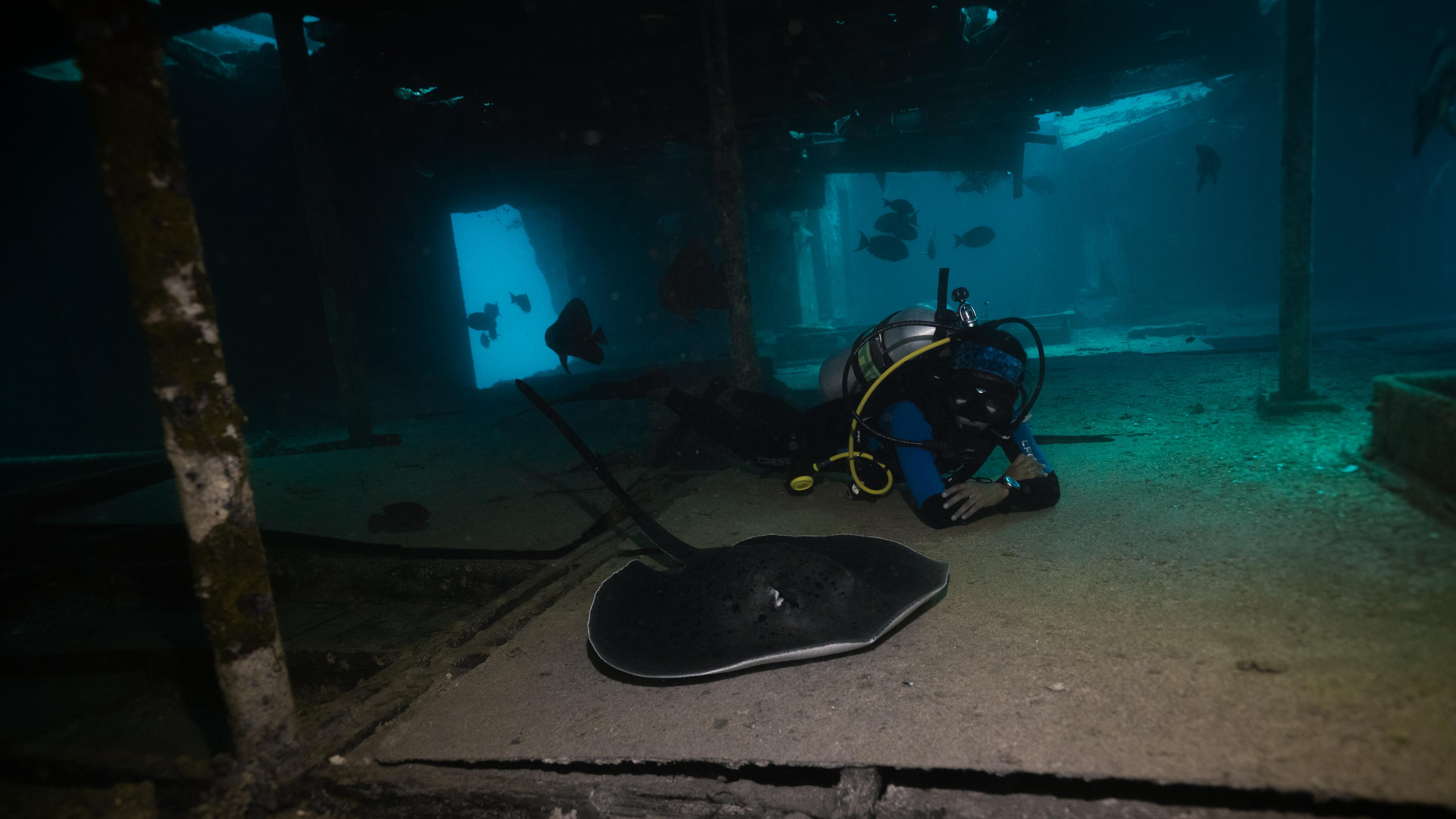 SW wreck jpg-36.jpg