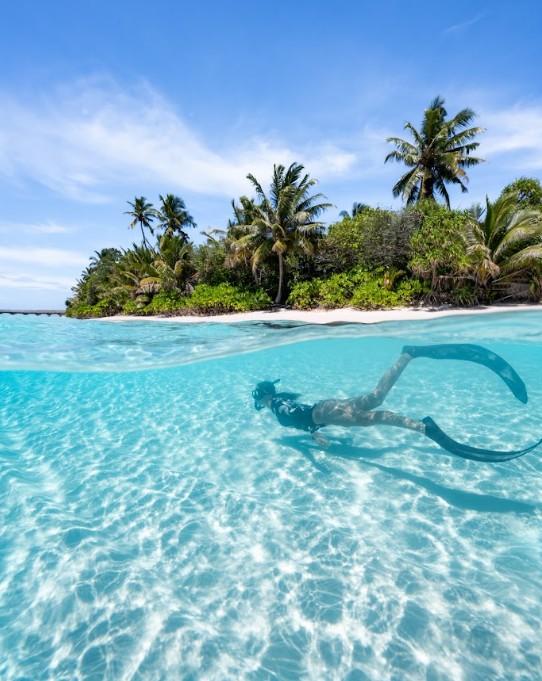 Housereef Hadahaa 3.jpg